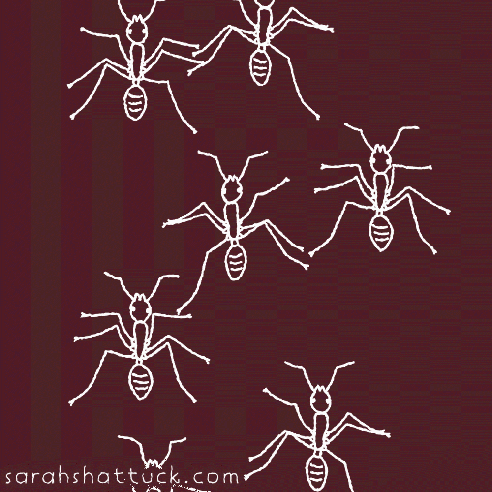 An animated gif of several ants crawling in place, drawn in white over a red-orange background.
