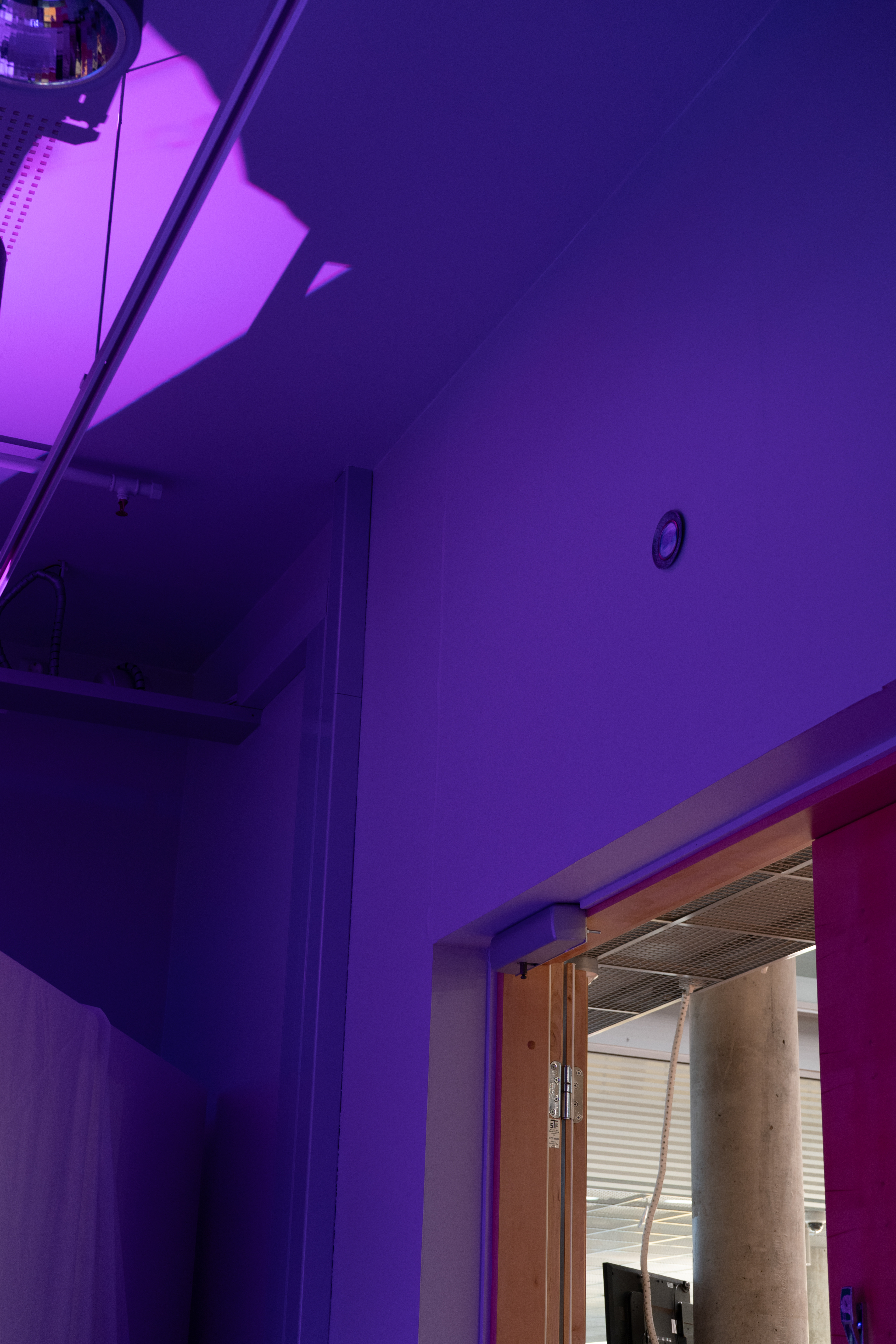 Gaze, cyanotype on cotton2025