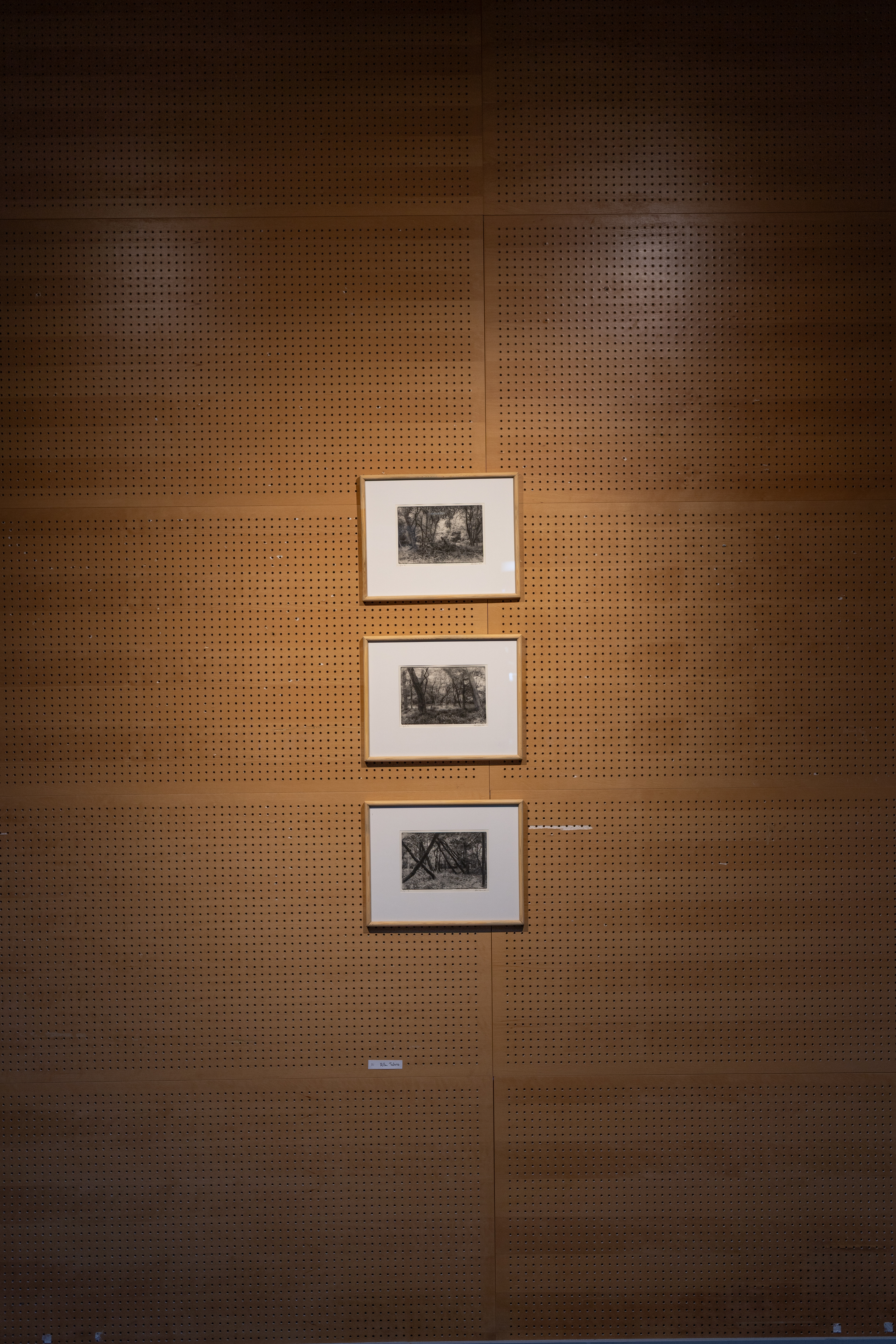 Forests of Hidsgavl I-III, Polymer photogravure, 2025