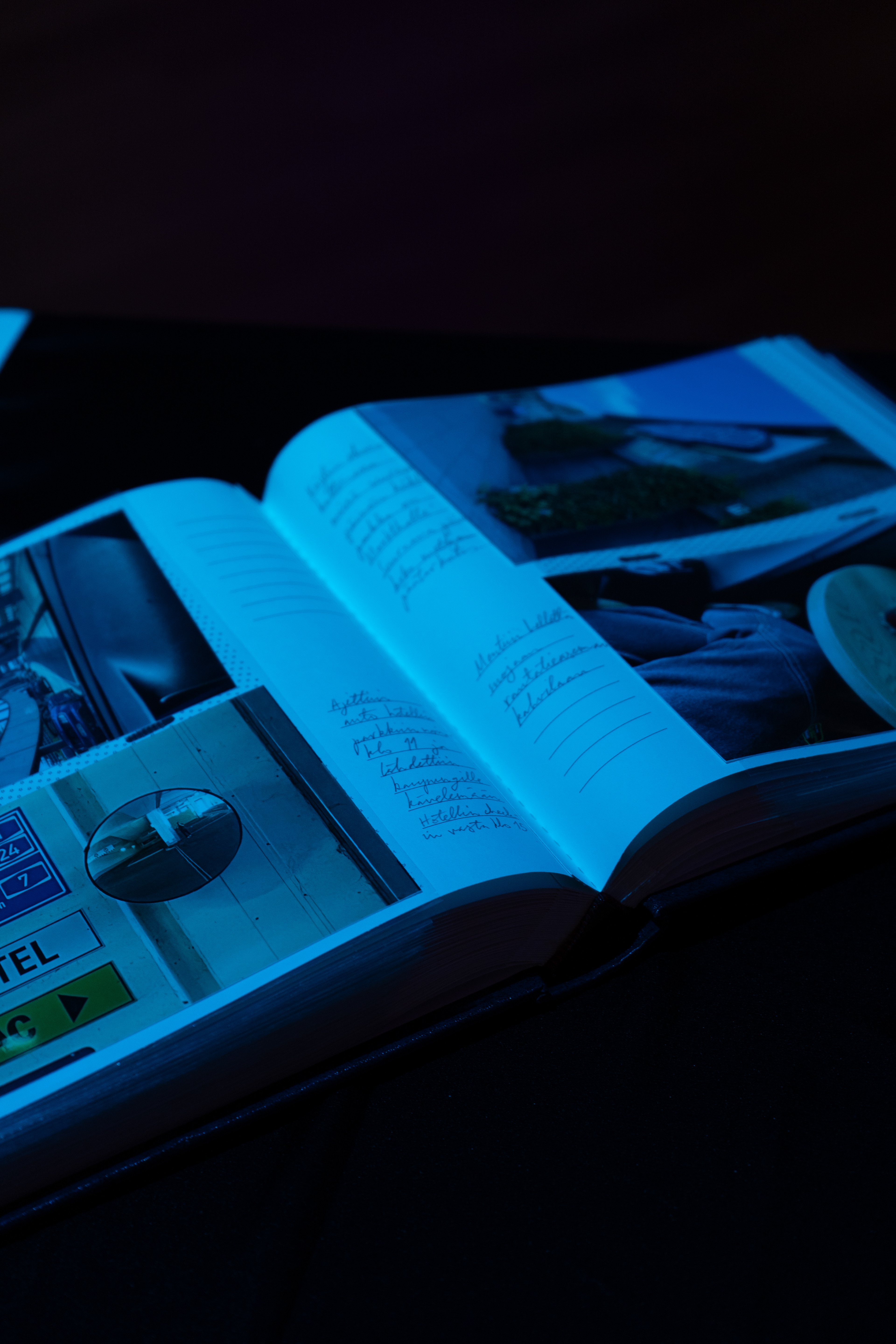 Homot Hampurissa, inkjet prints in album, 2025