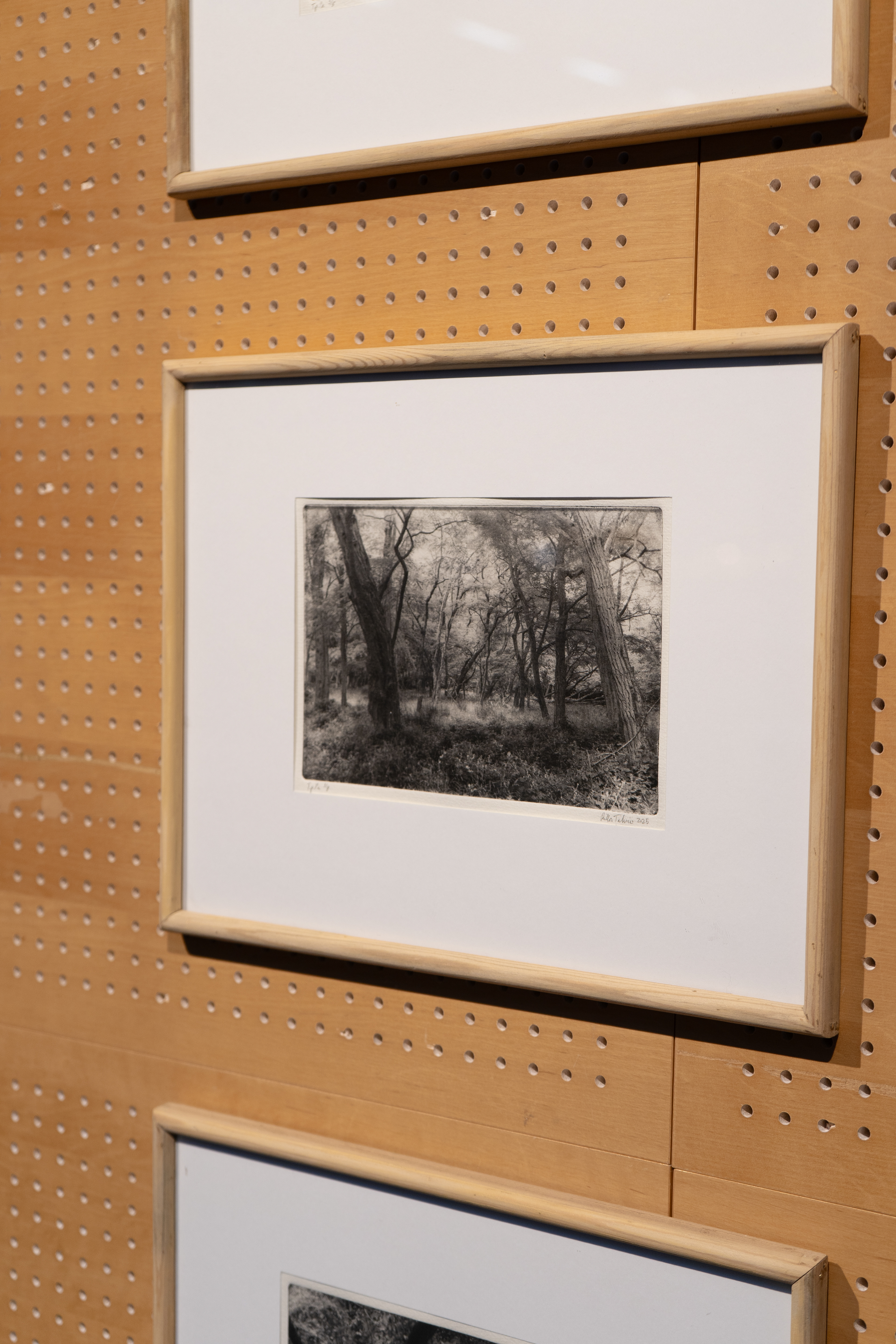 Forests of Hidsgavl II, Polymer photogravure, 2025