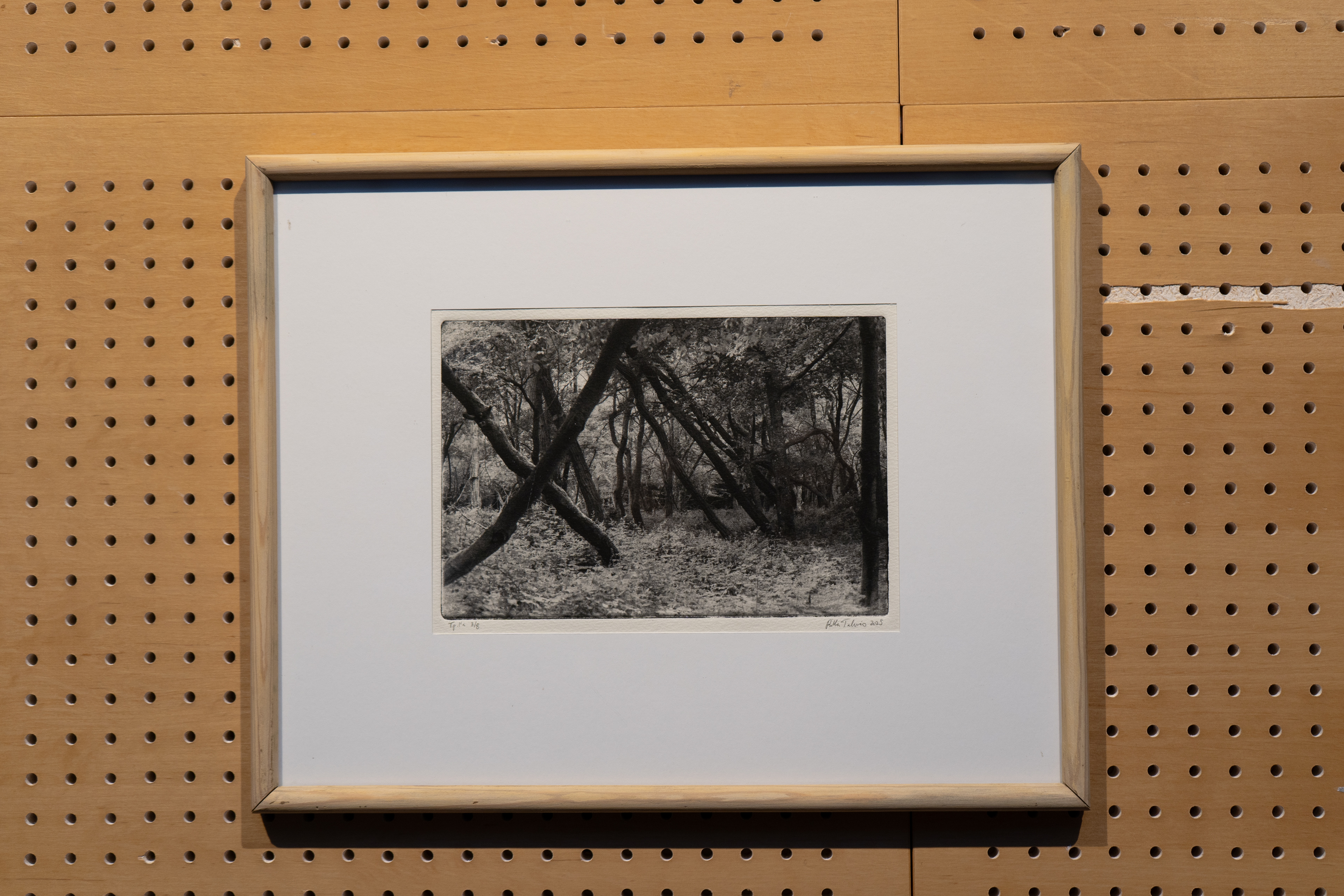 Forests of Hidsgavl III, Polymer photogravure, 2025