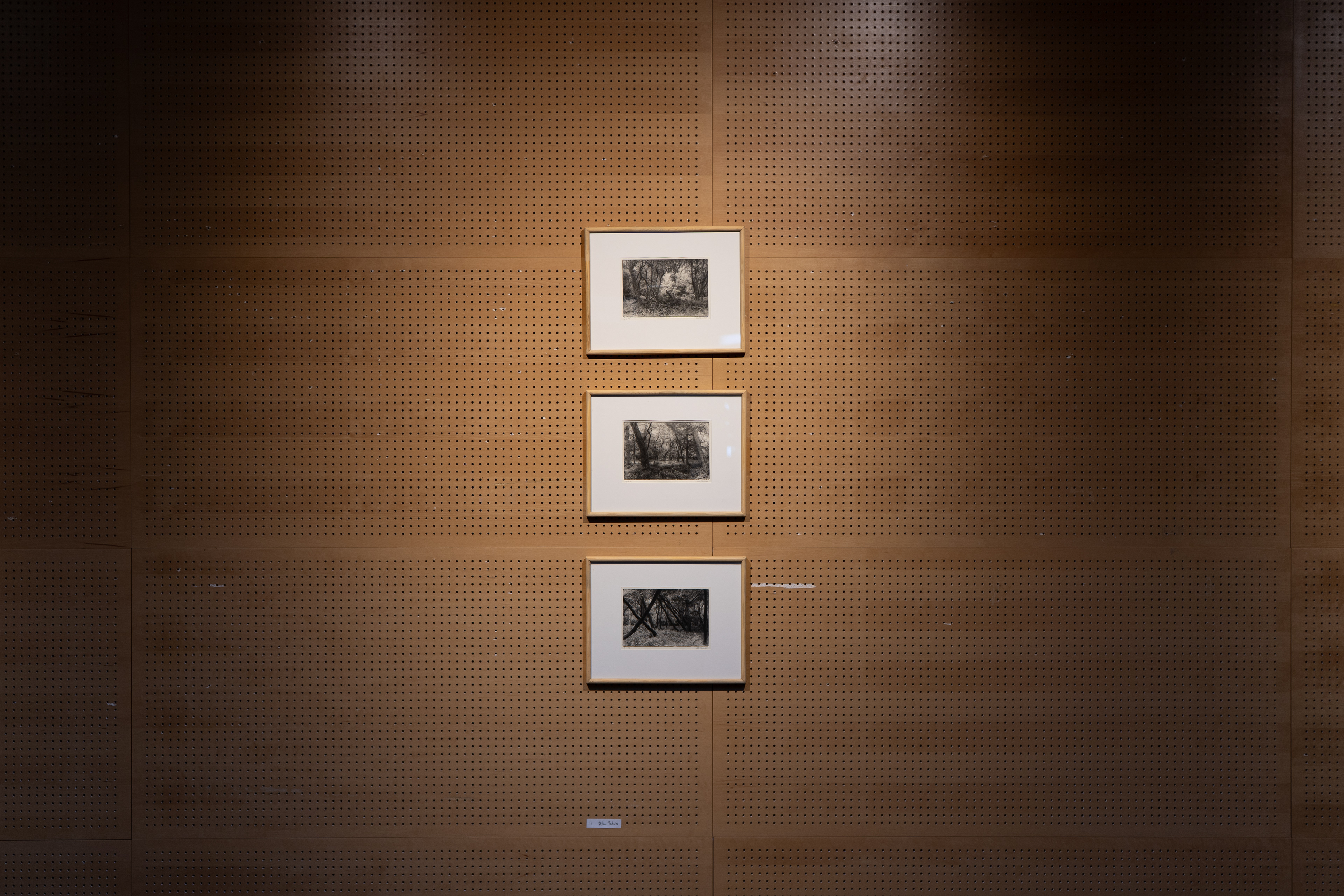 Forests of Hidsgavl I-III, Polymer photogravure, 2025