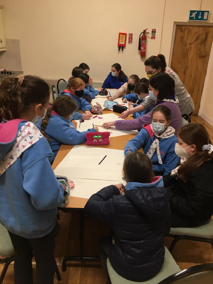Irish Girl guides animation workshop Feb 2022