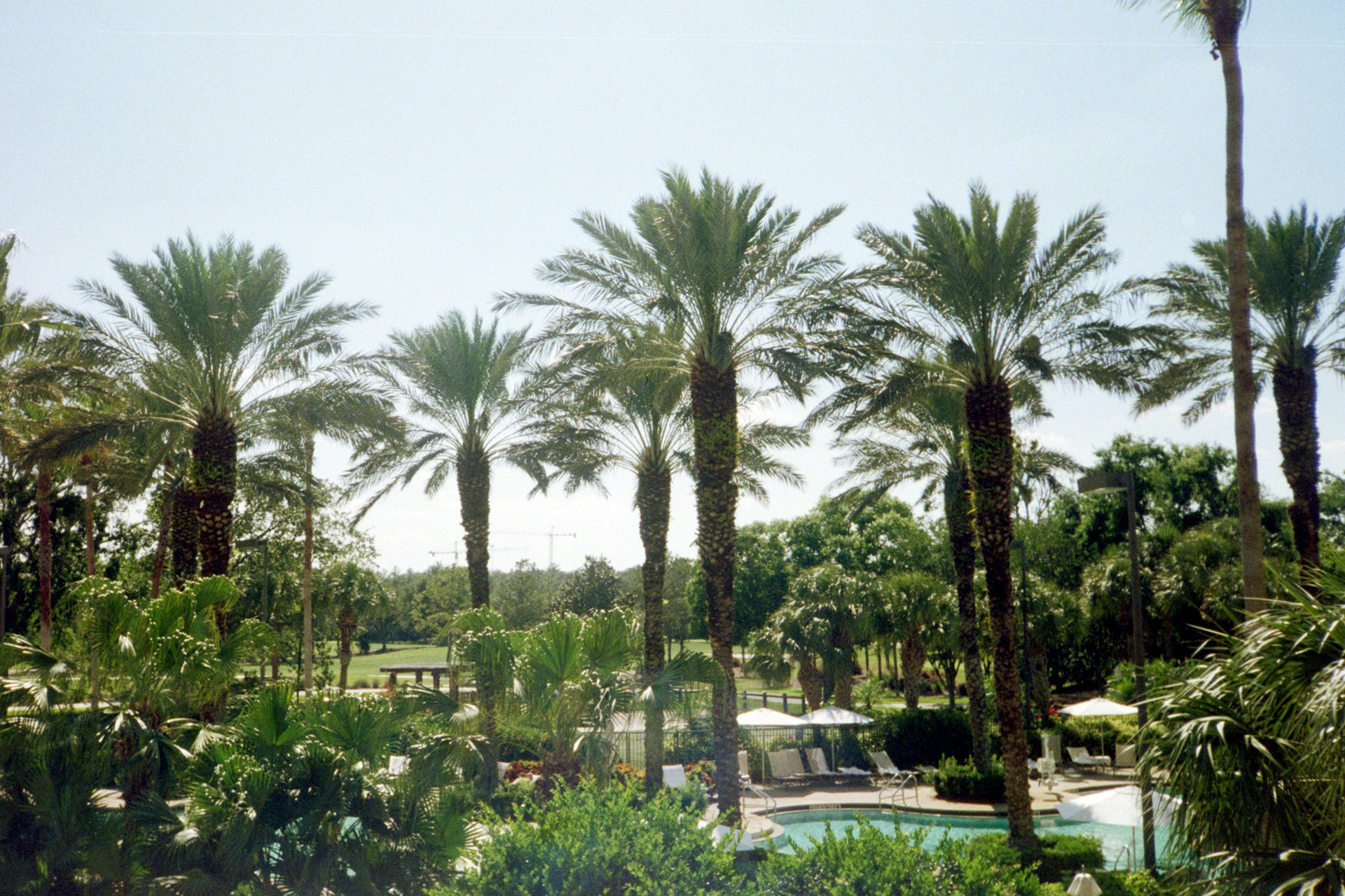 view of the hotel room / 2018