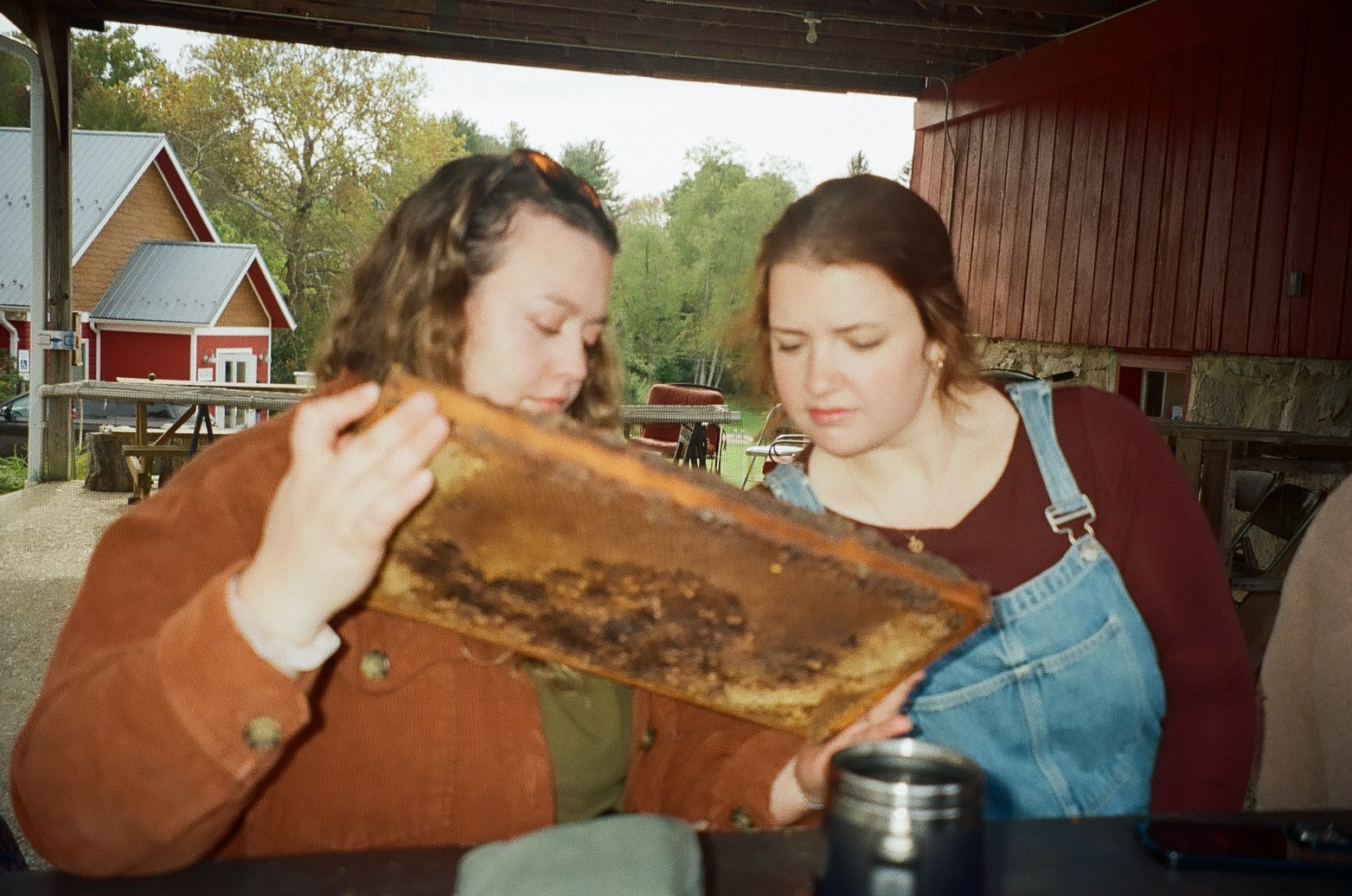 hannah & kait looking at bee honeycombs 10/18/25