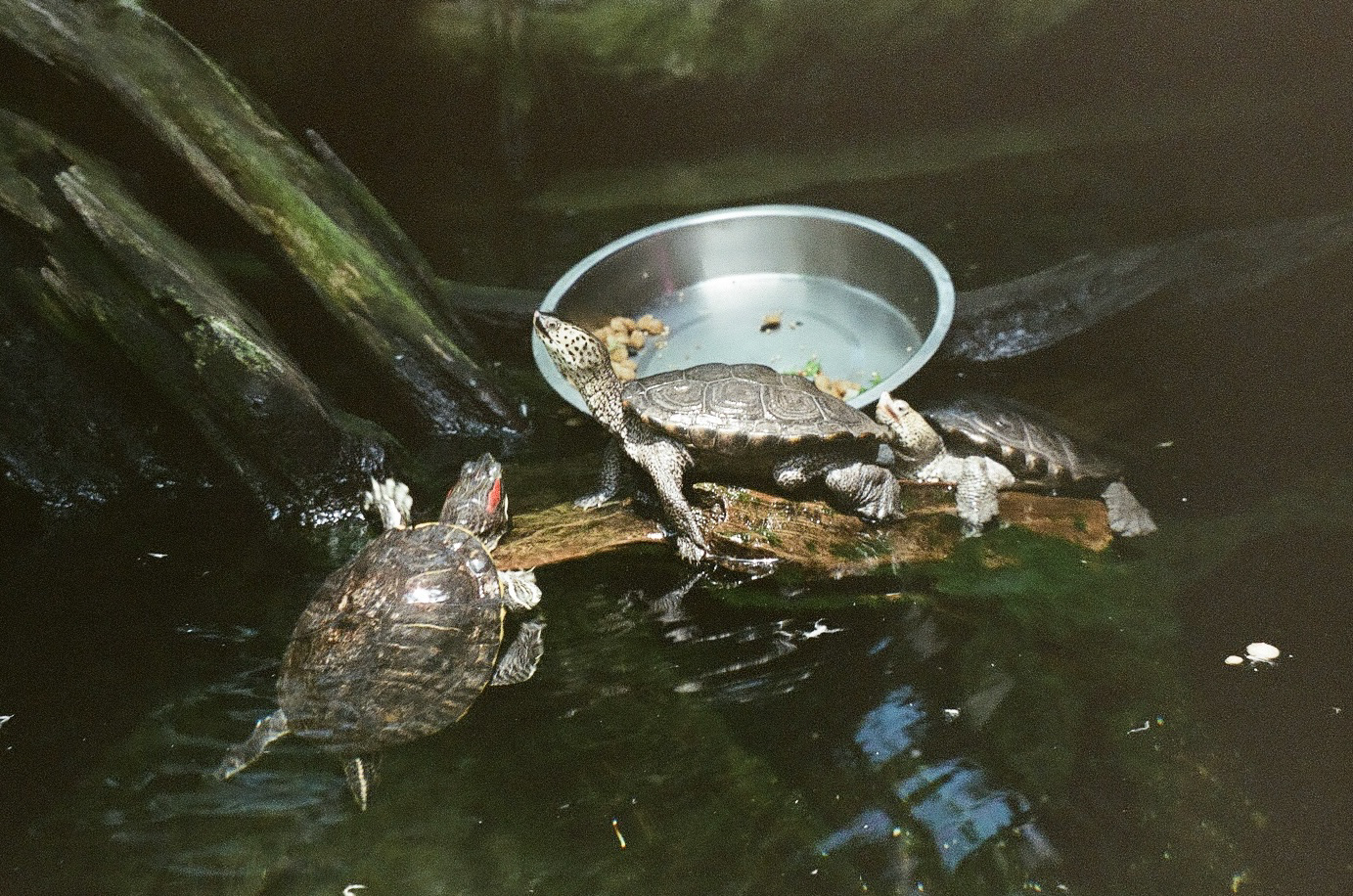 tampa aquarium / 2023