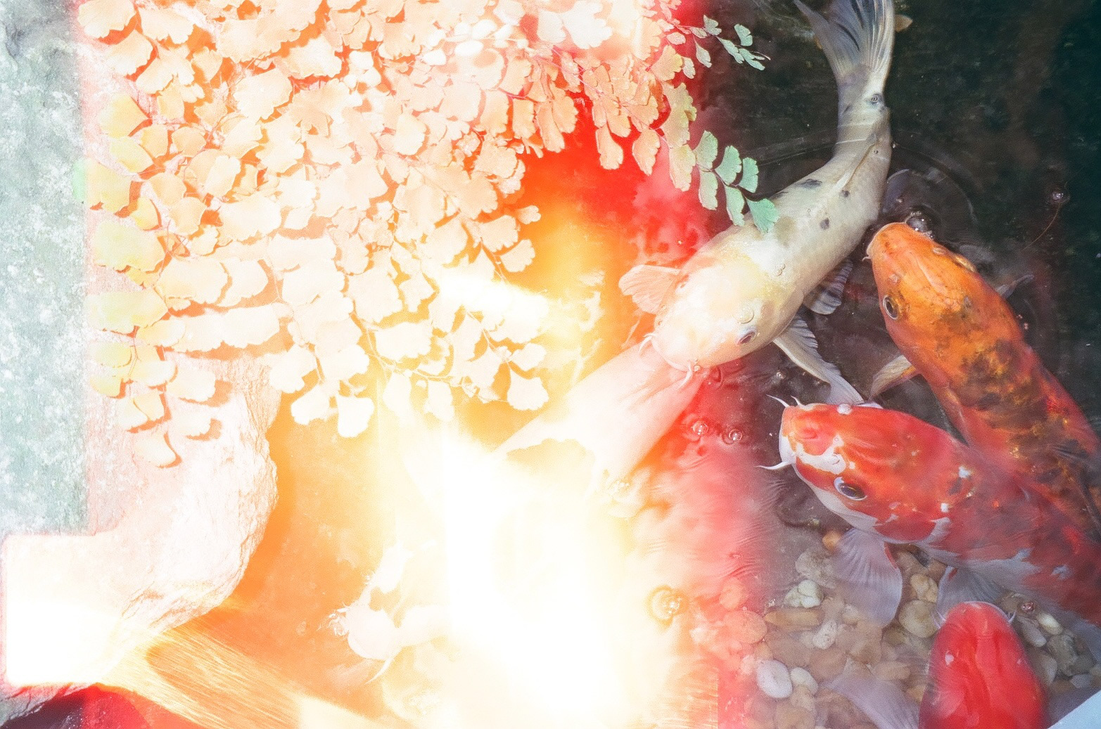 tallahassee / nursery / 2021