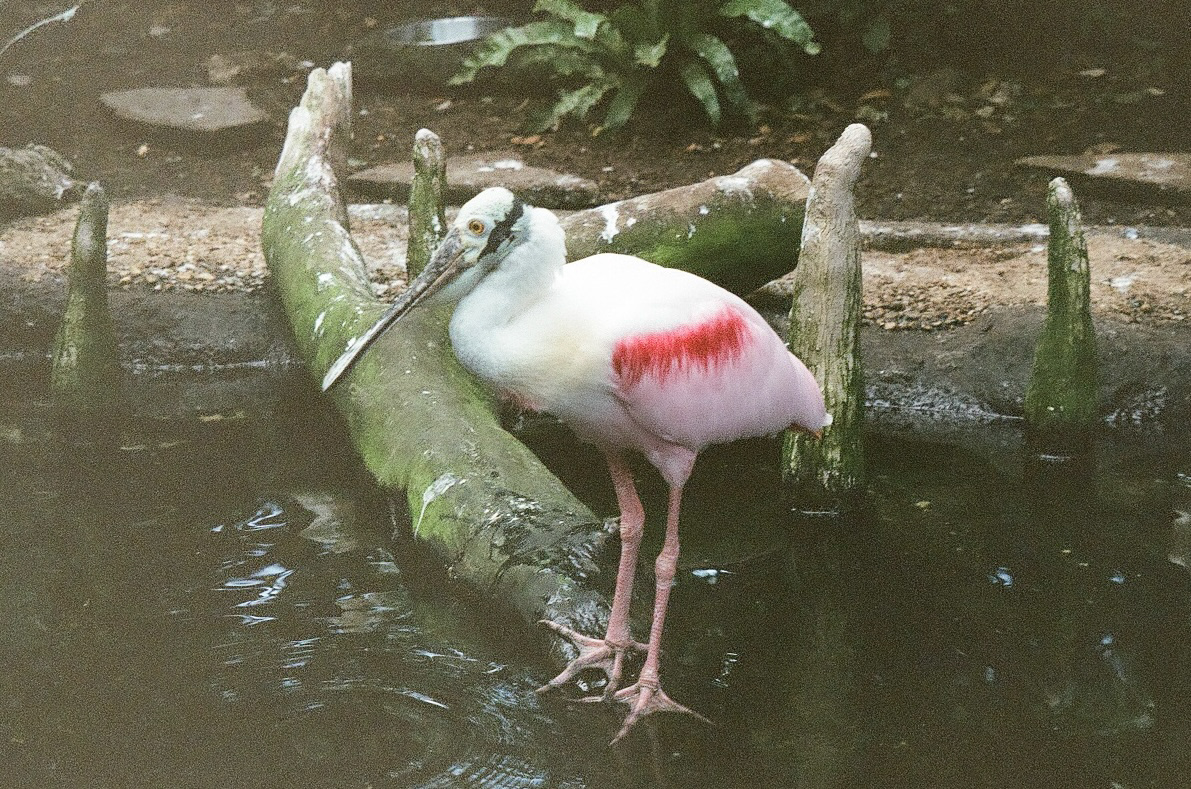 tampa aquarium / 2023