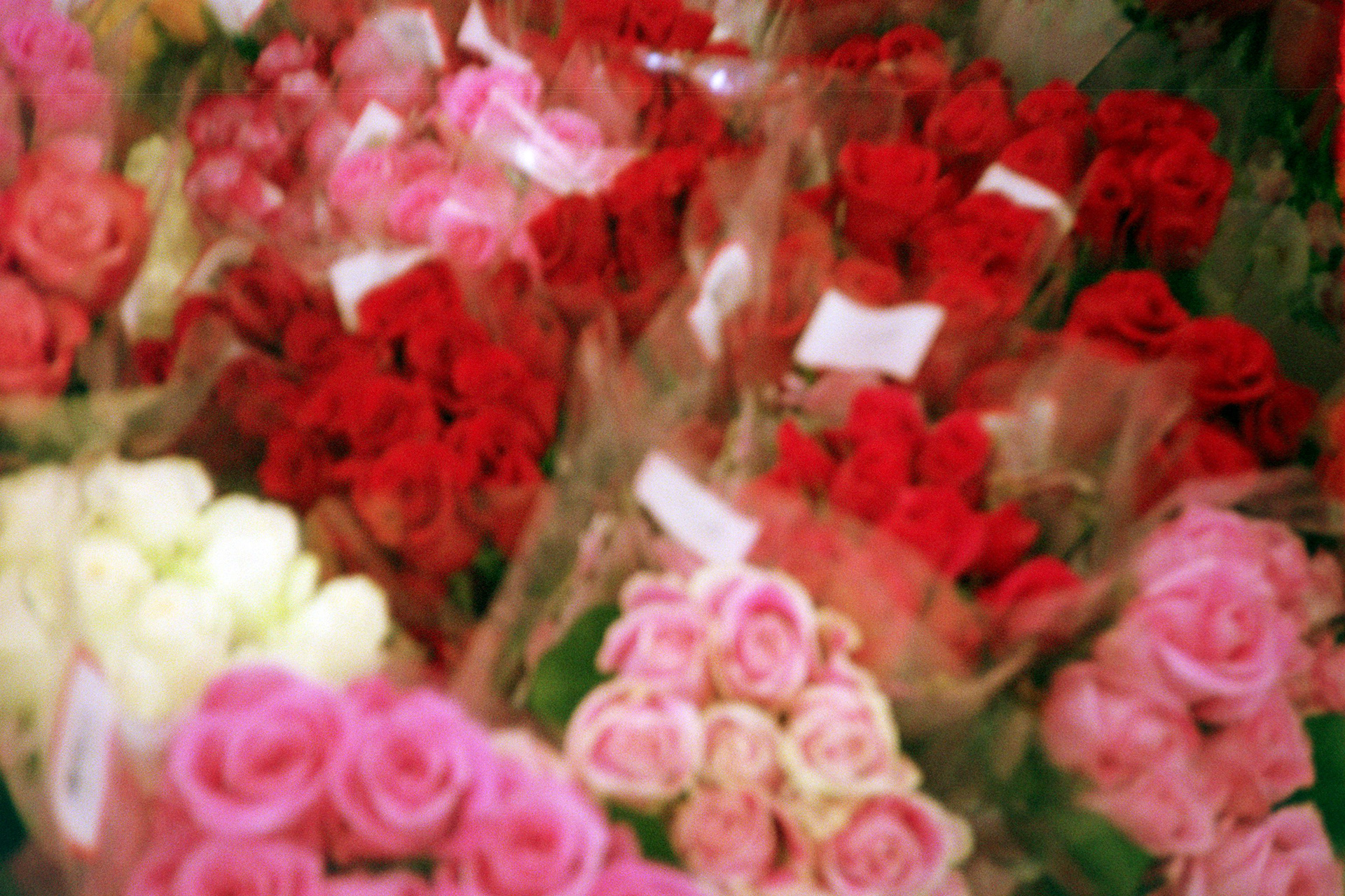 favorite photo ever - taken at a walmart lol