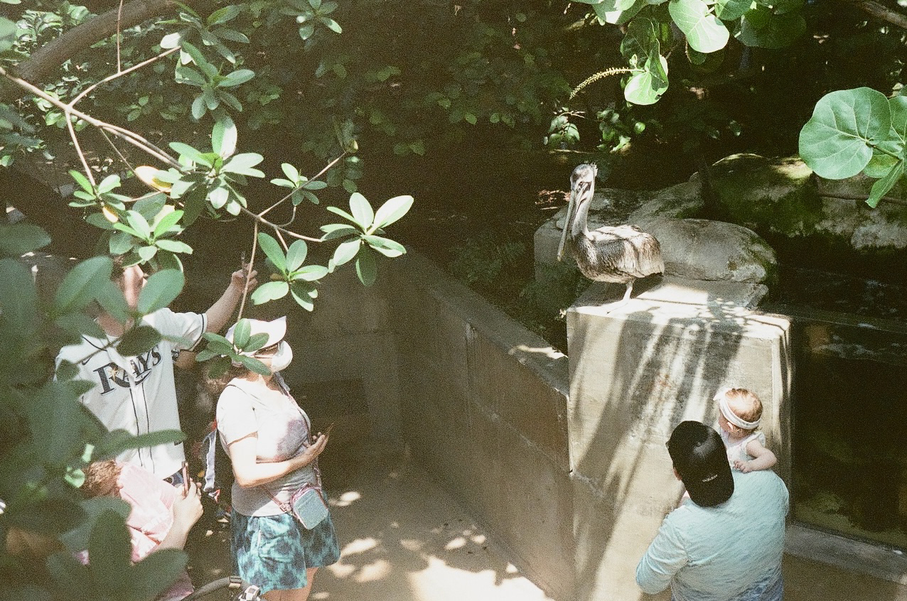 guests with a bird at the tampa aquarium