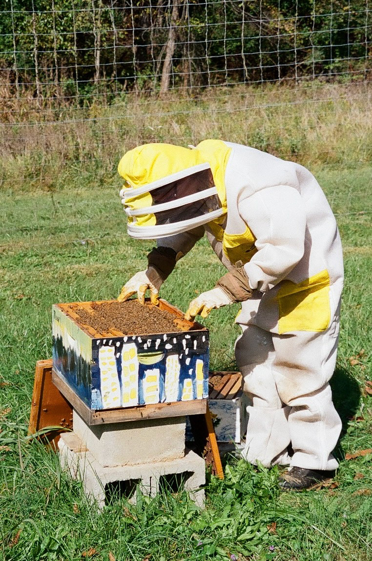 all about bees for hannah's bachelorette! 10/18/25