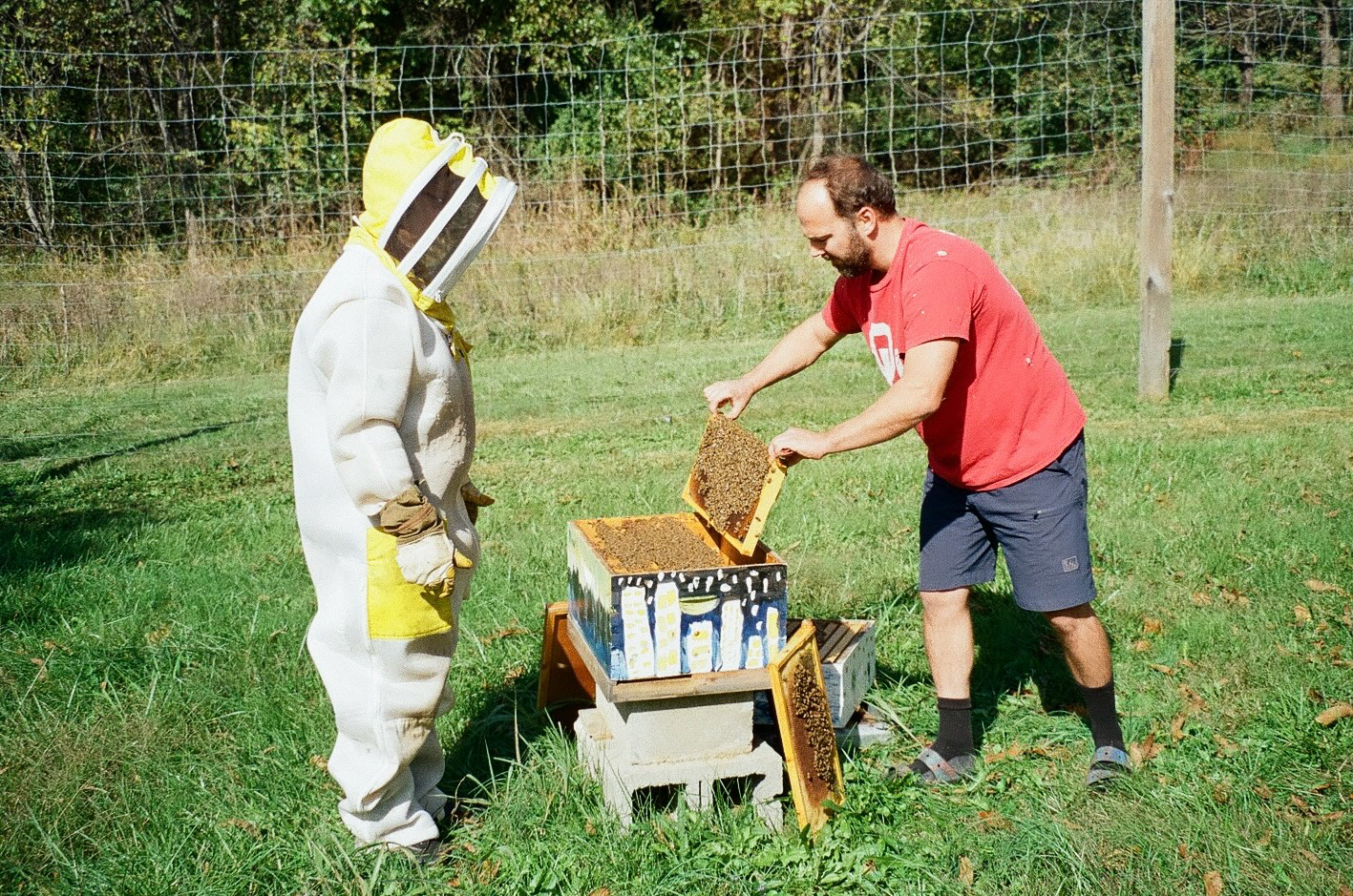 all about bees for hannah's bachelorette! 10/18/25