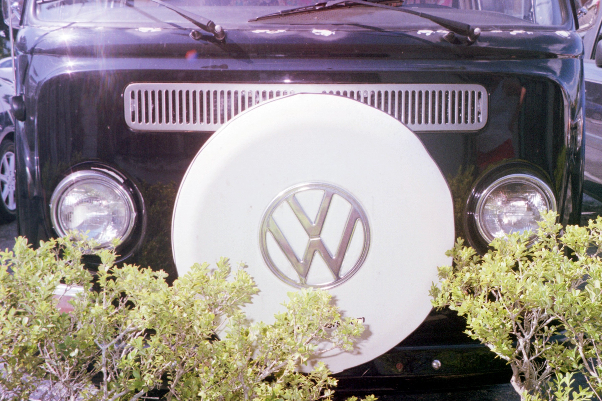 tampa / grindhouse video / 2019