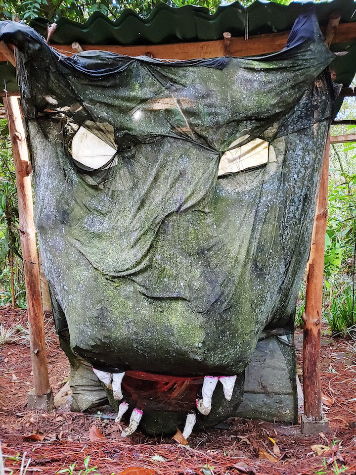 outdoor jaguar theater