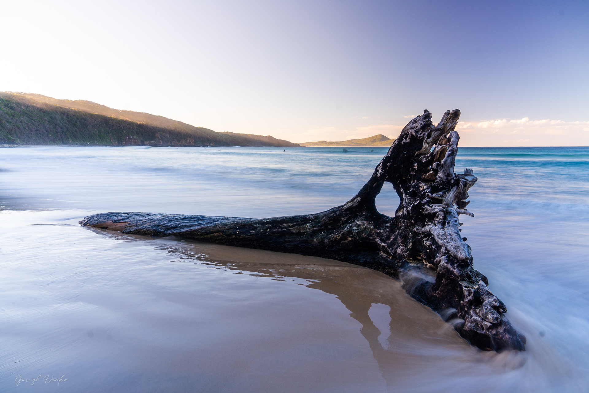 Seal Rocks Tree On Beach