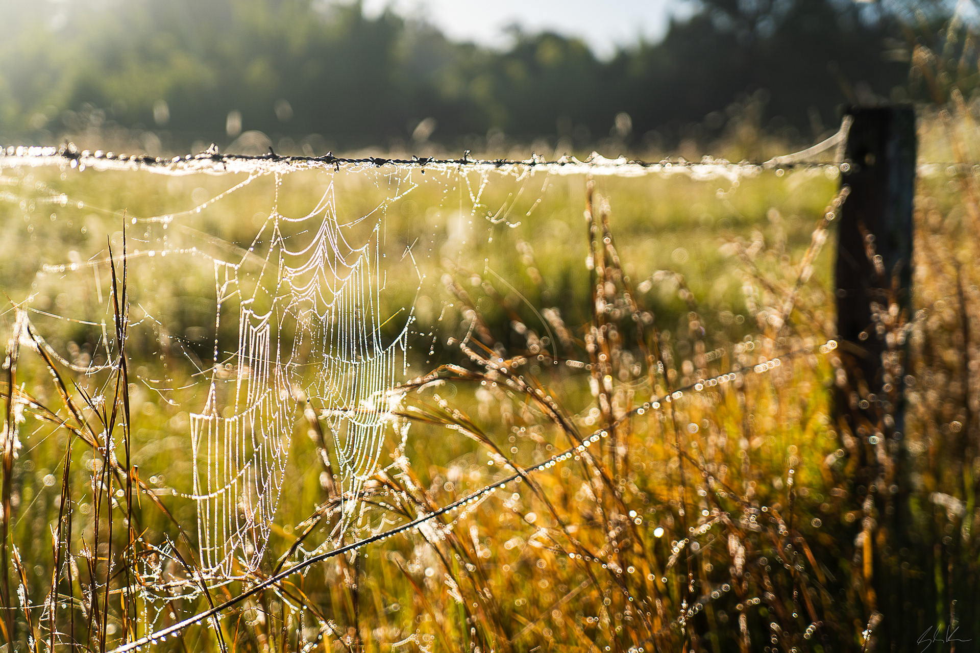 Farm Fence