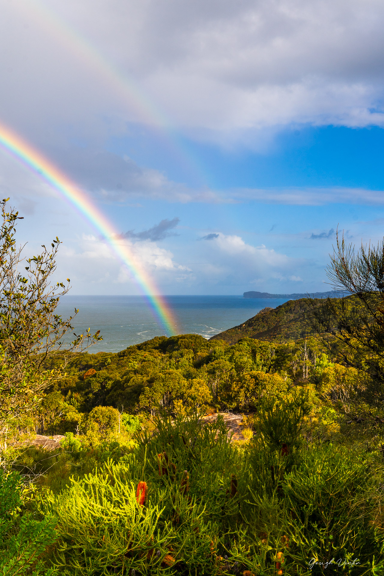 Bouddi Box Head