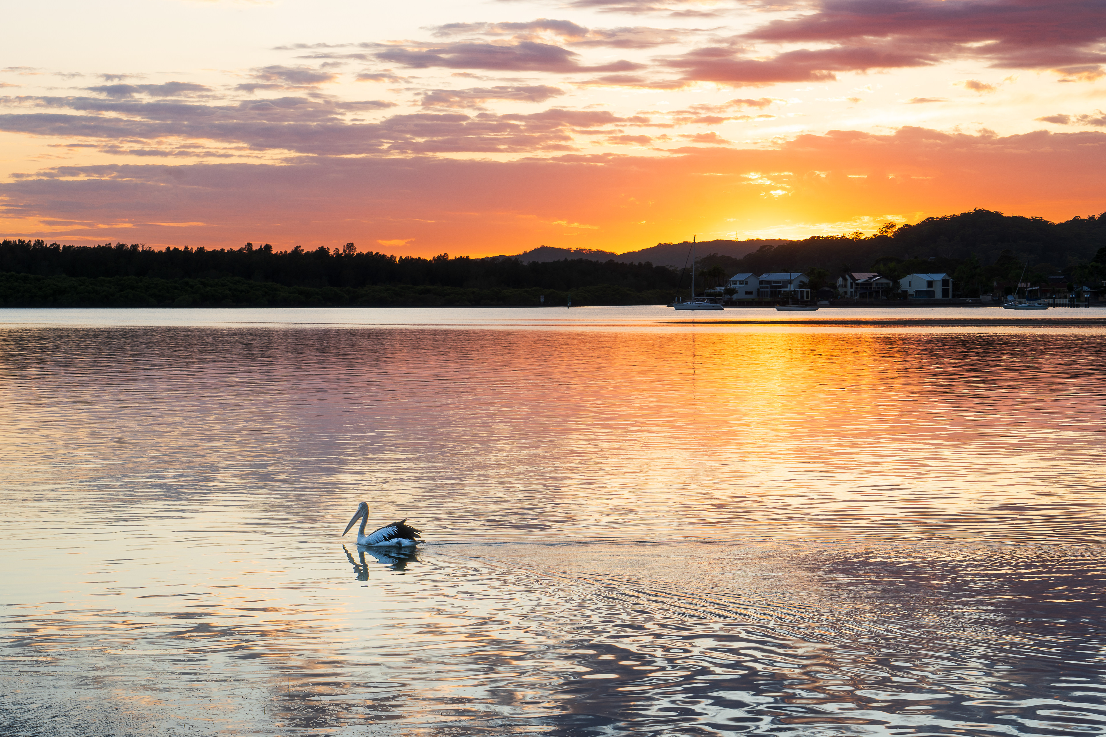 Woy Woy Sunset