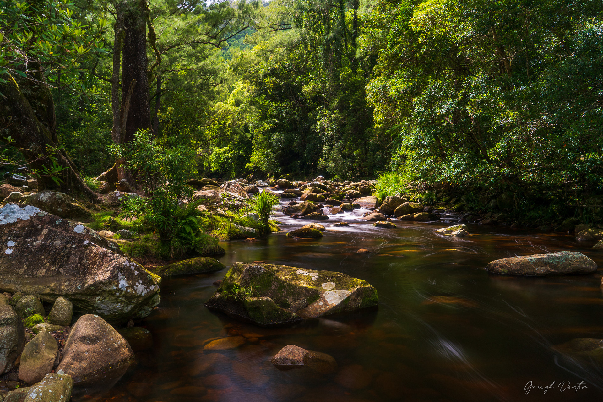 Berry Hinterland Stream