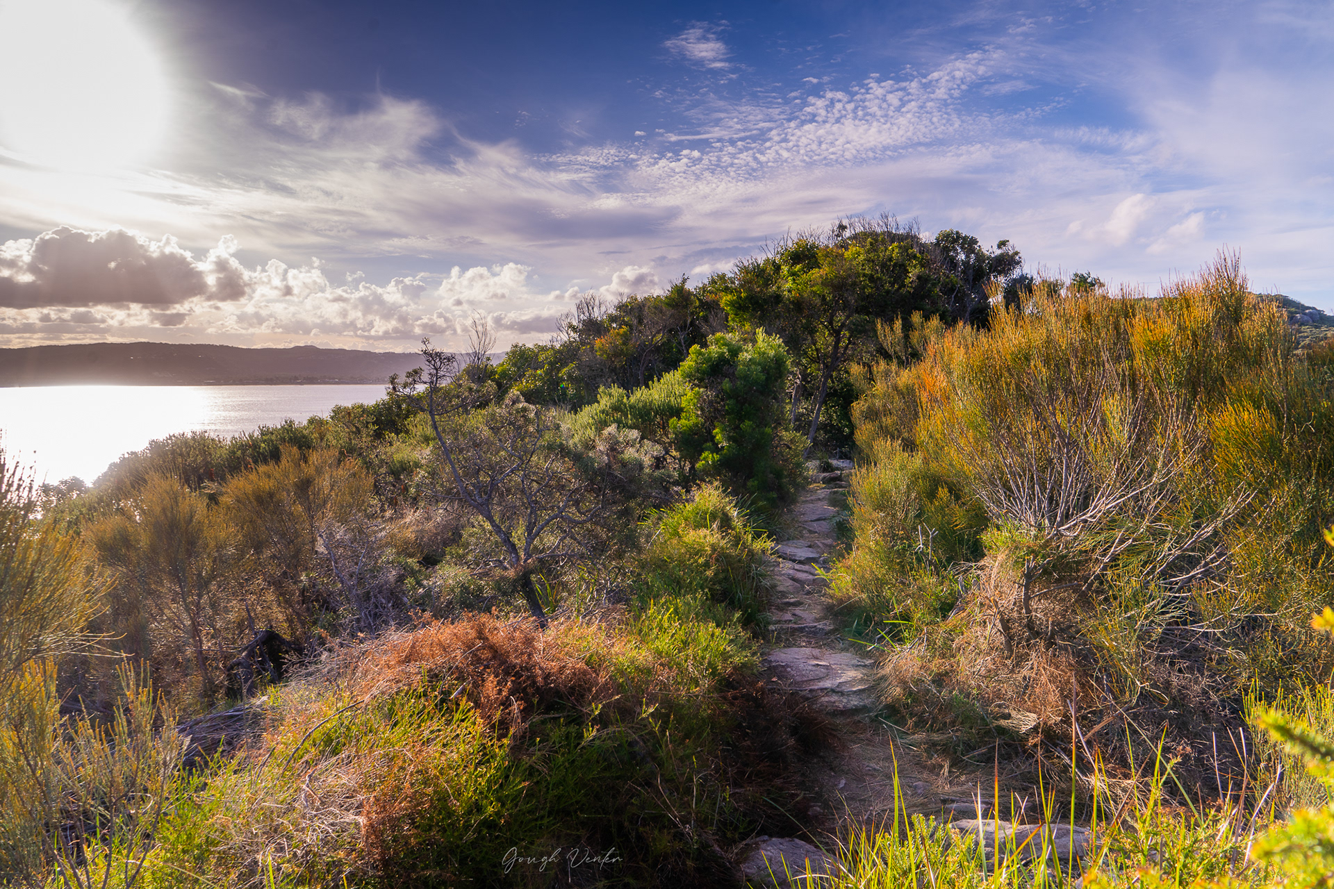 Bouddi Box Head Walk