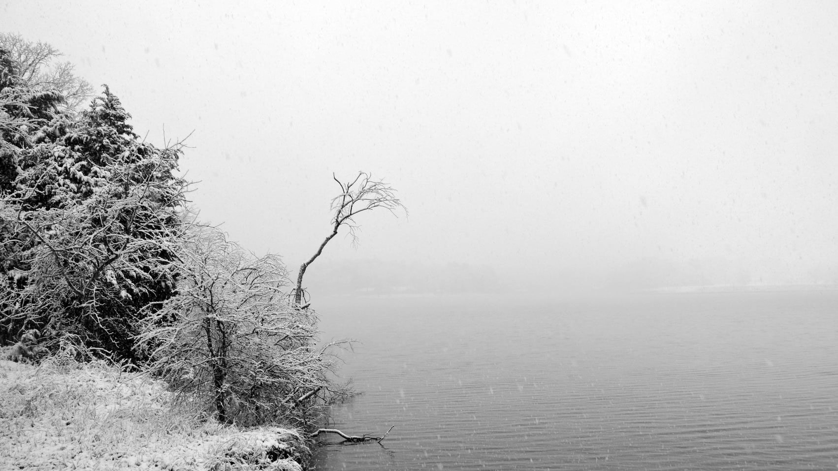 Snowpocalypse @ Lake Palestine East Texas