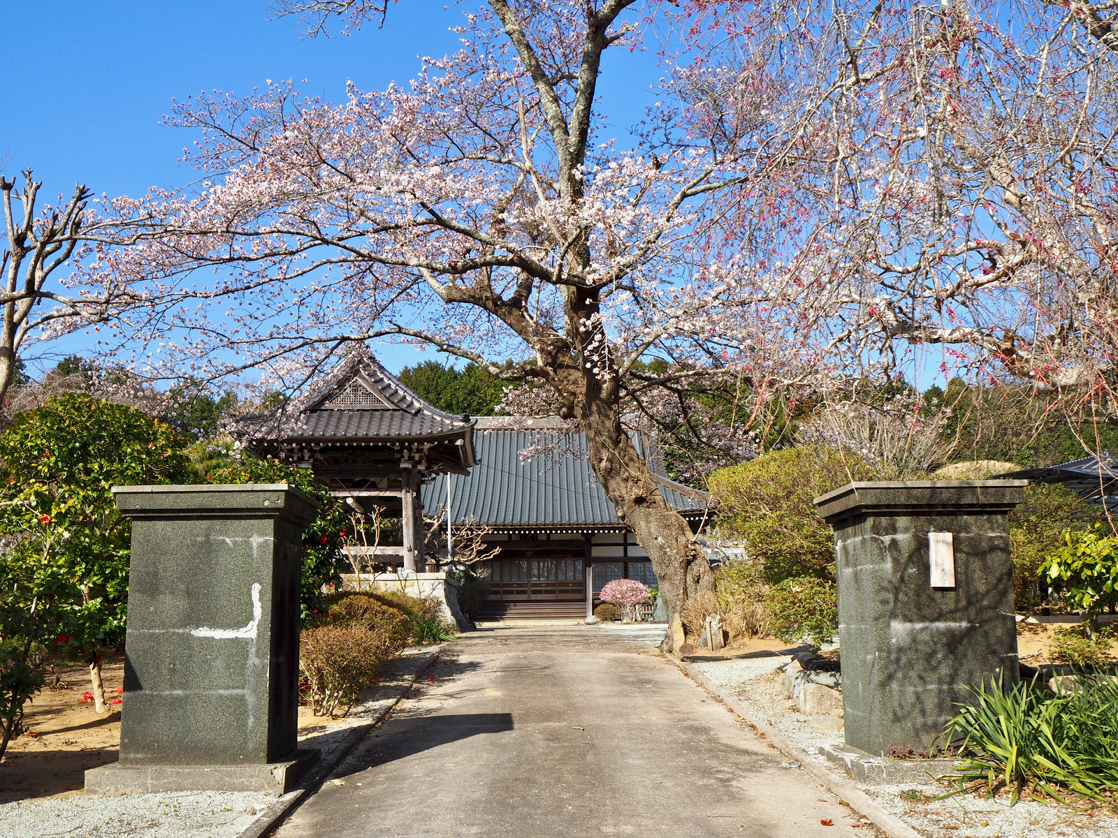 正西寺