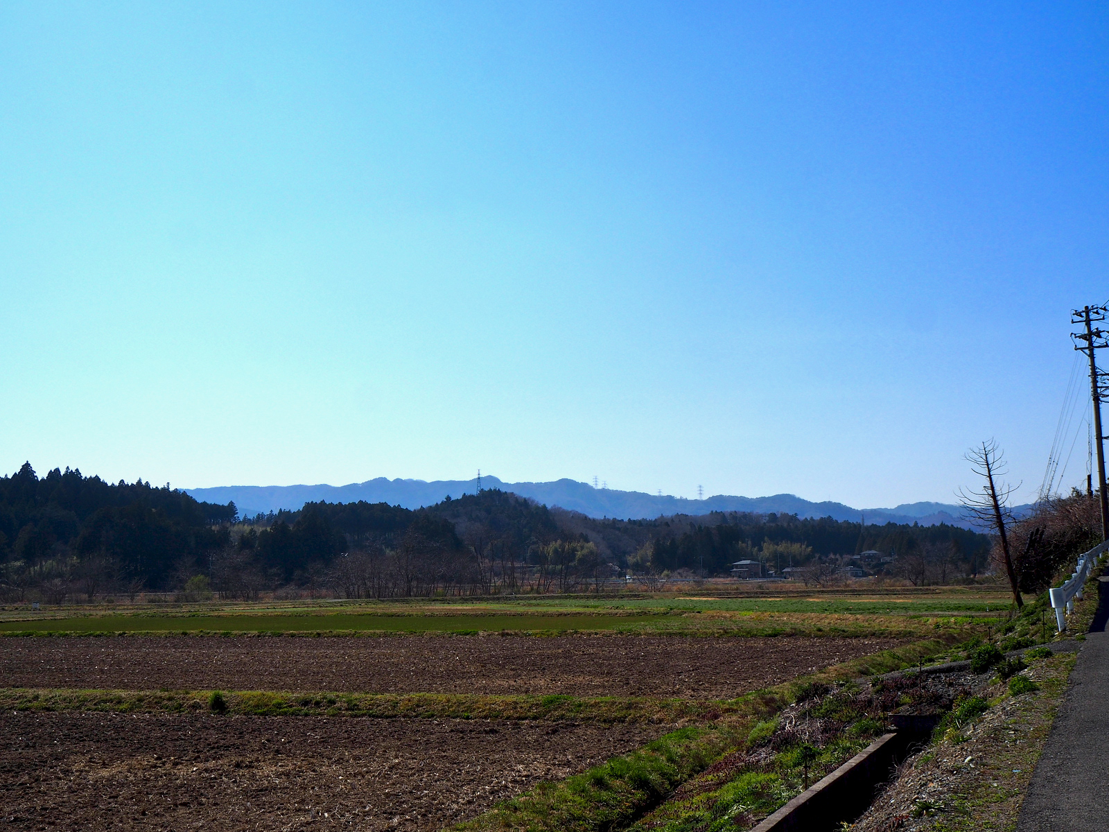 山の稜線が美しい。