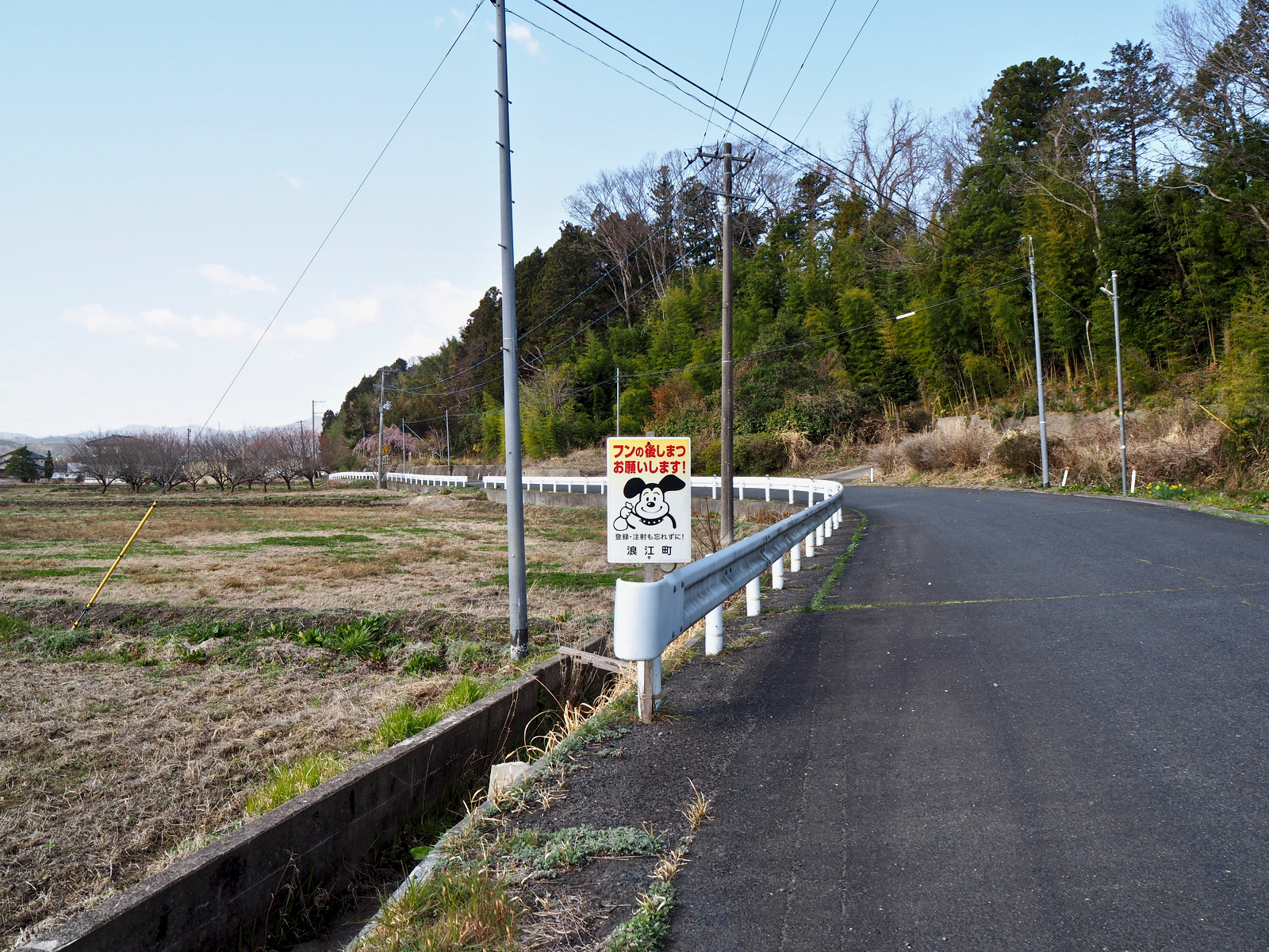ここを犬が散歩する日は来るのだろうか。