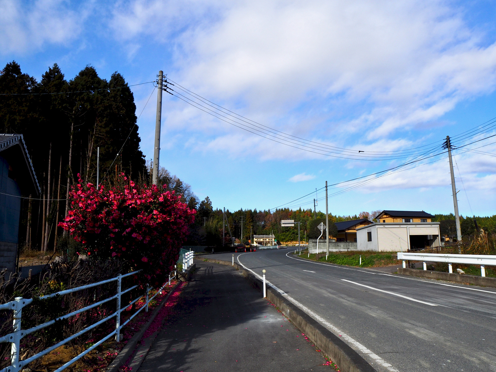 この辺りには帰還している世帯がいくつかあった。