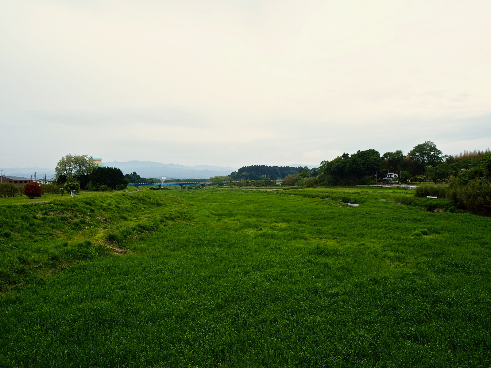 請戸川