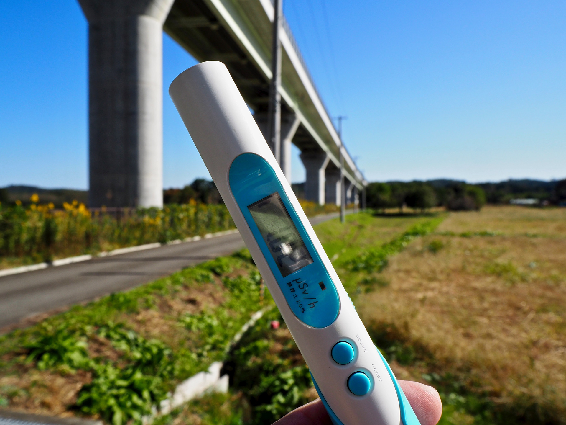 常磐道の下で。