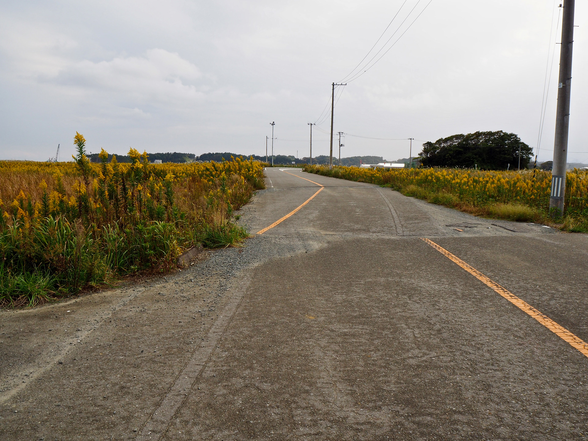 地面が道一本分ズレた