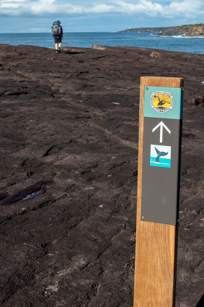 Light to Light Walk Identifier