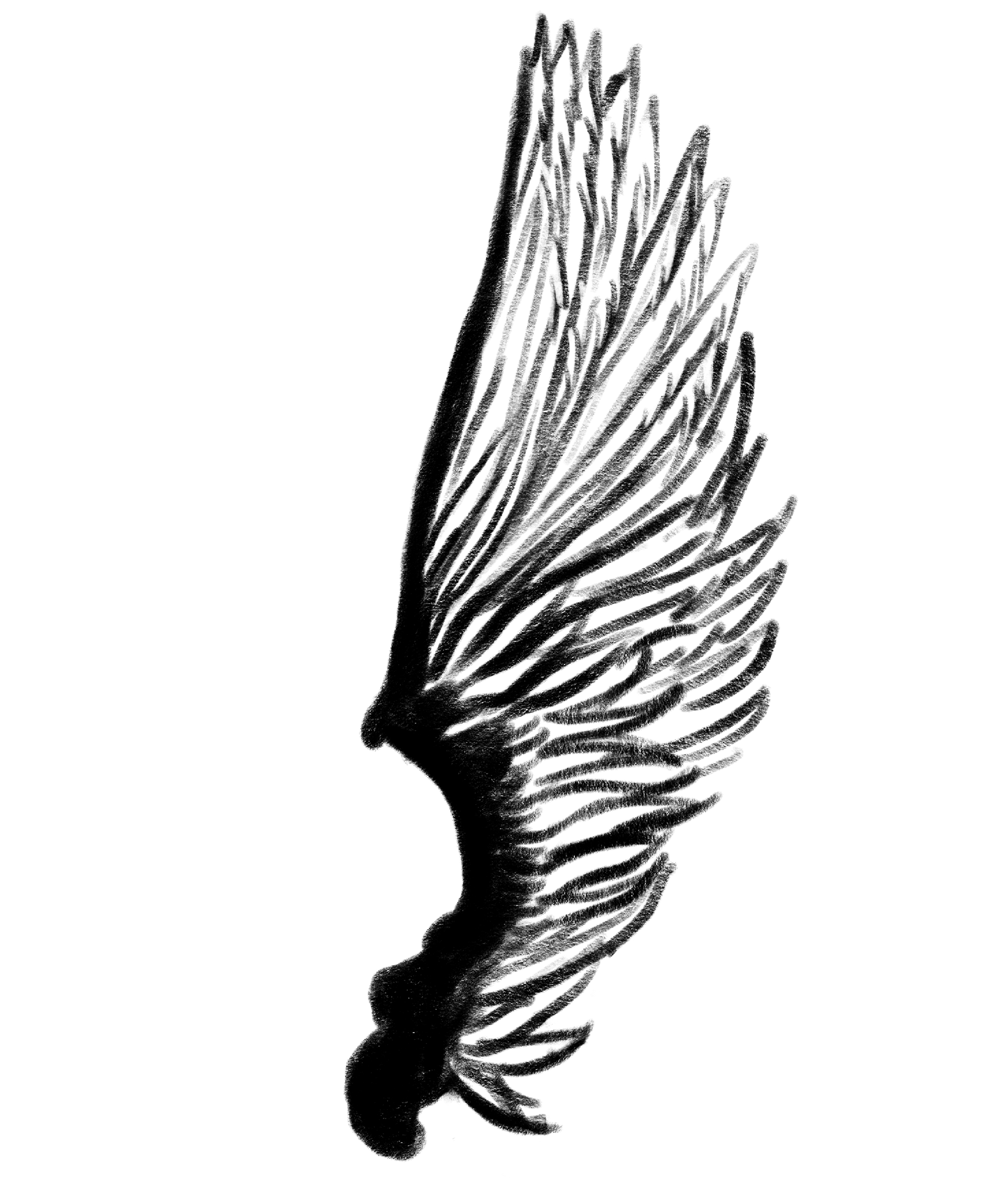 Booklet Wing