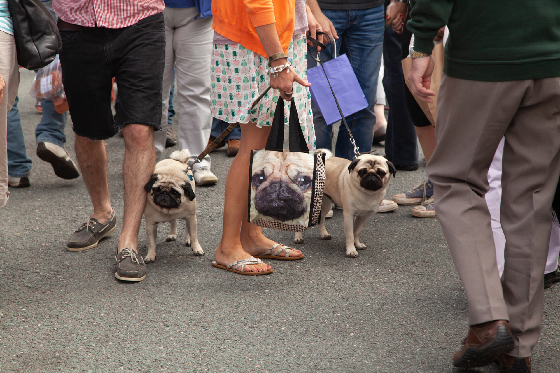 Saltburn Food Festival