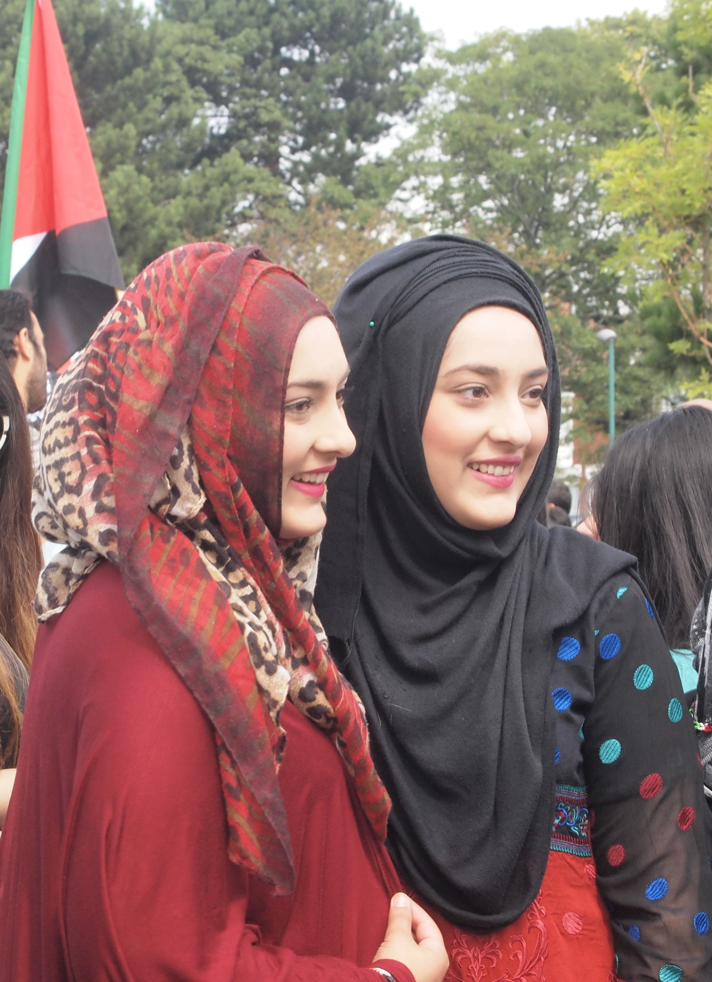 Palestine protests; Middlesbrough Summer 2014