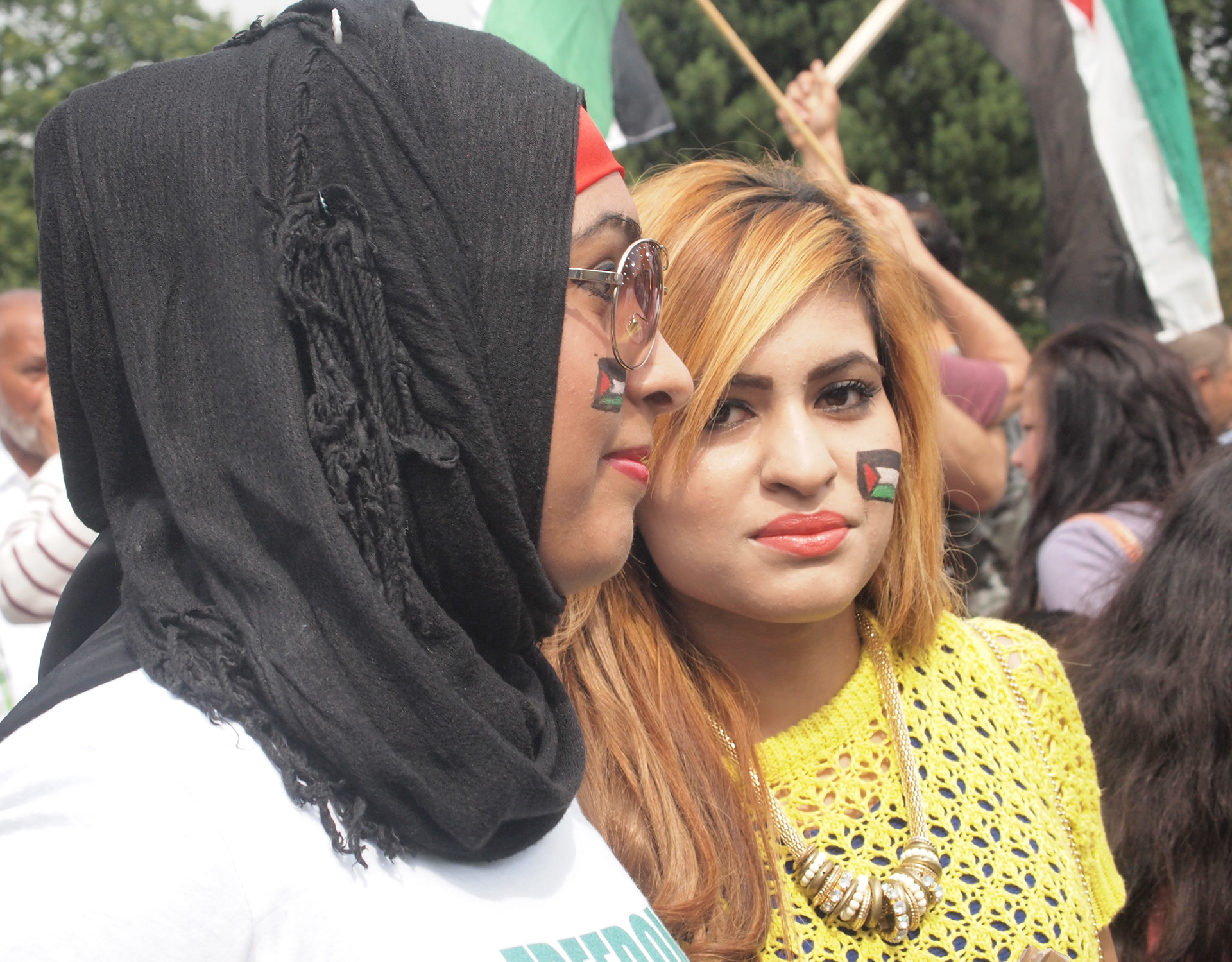 Palestine protests; Middlesbrough Summer 2014