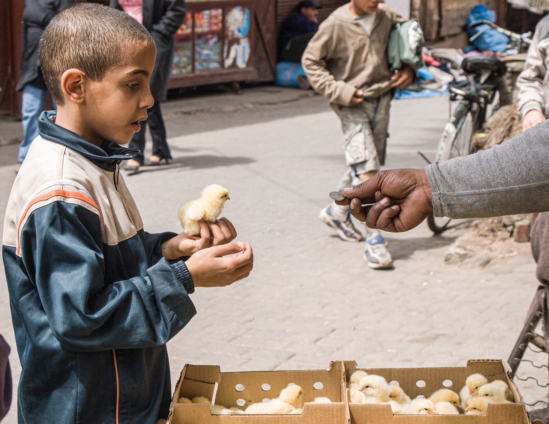 Marrakesh
