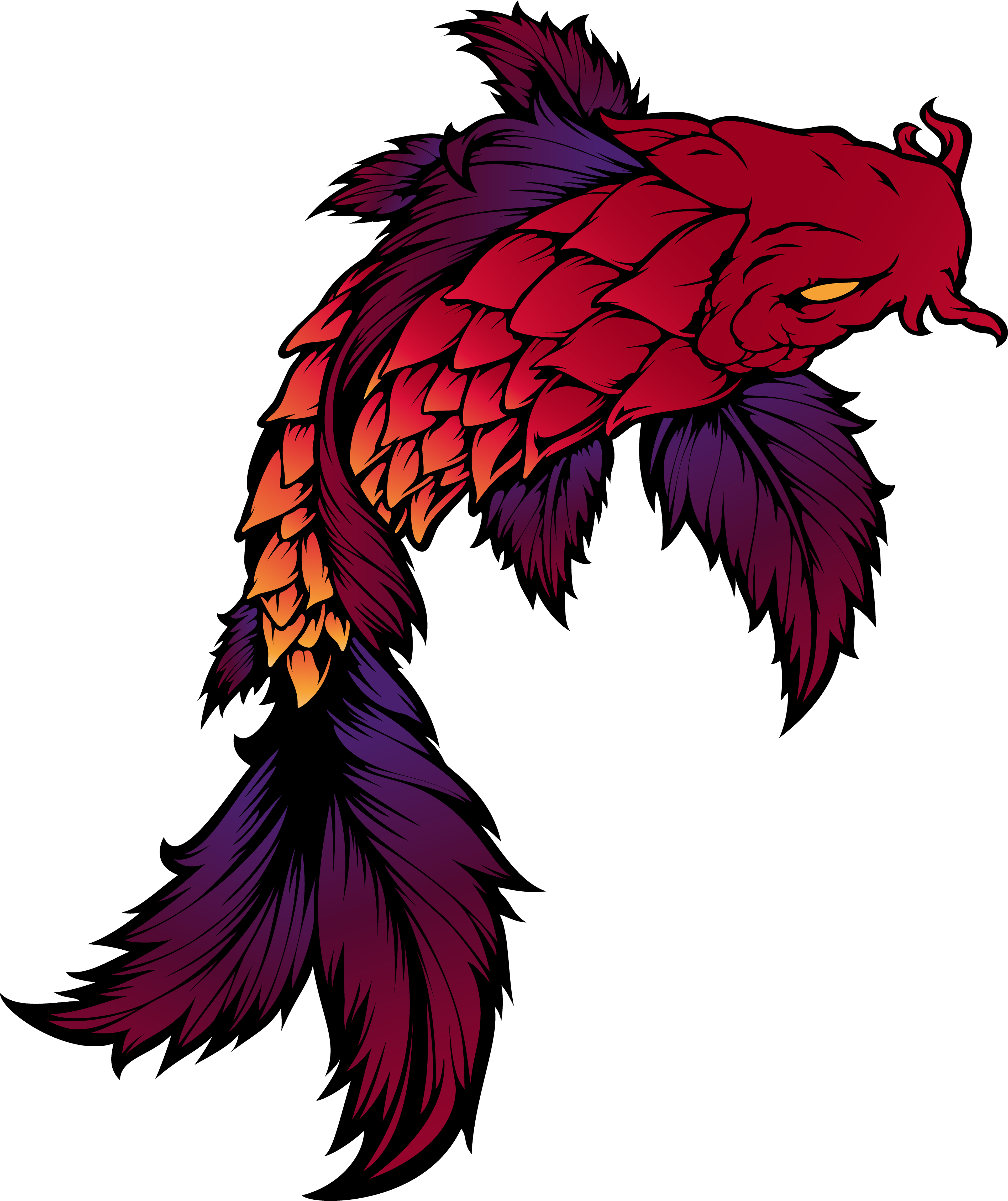 Koi Fish