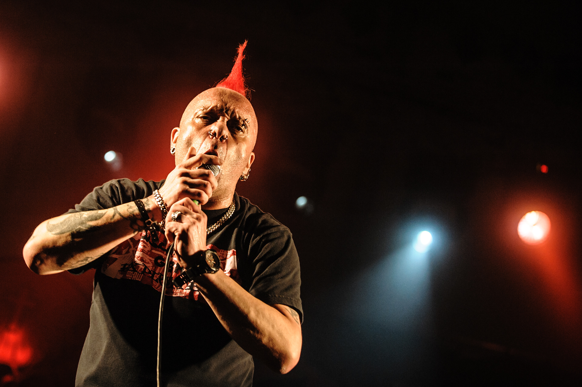 The Exploited 2014