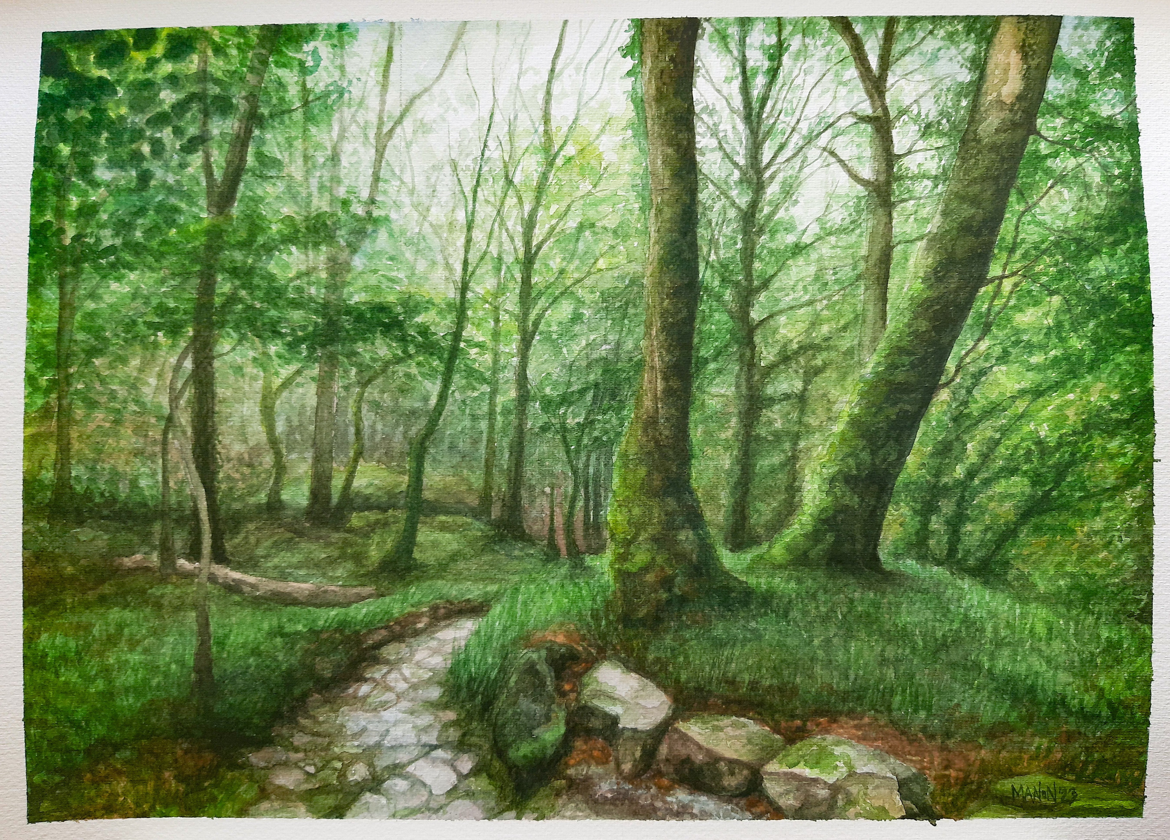 Letterfrack woods- Watercolour