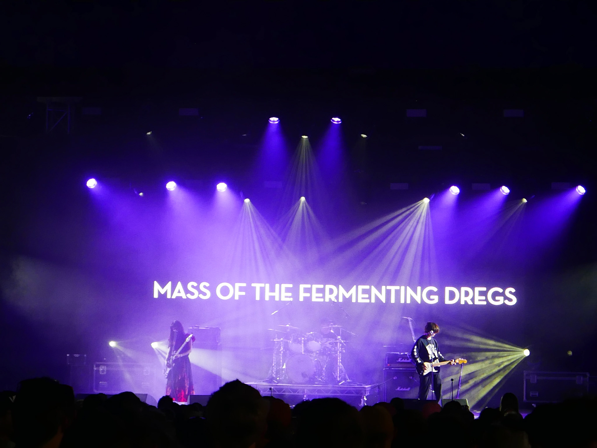 MASS OF THE FERMENTING DREGS