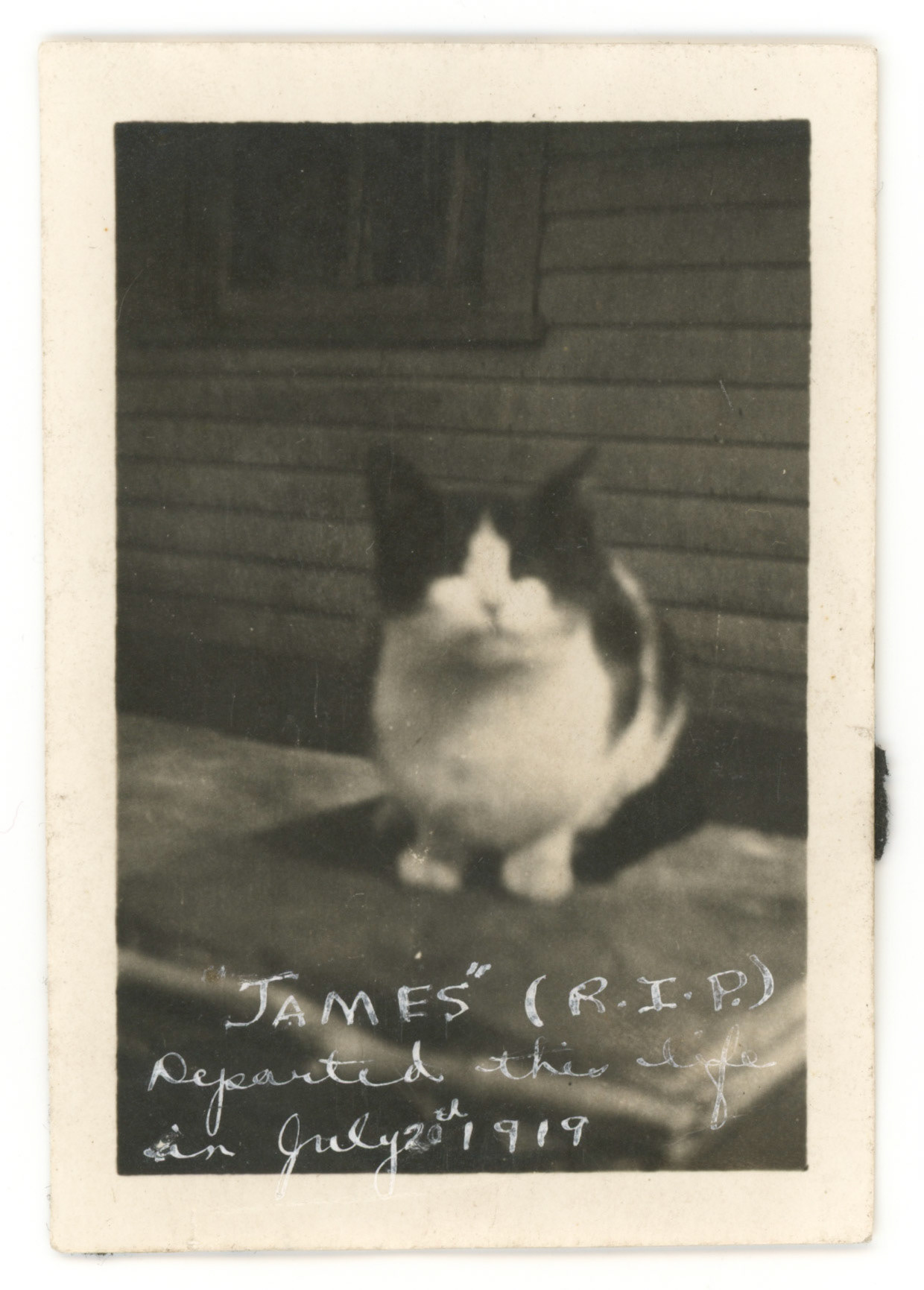Photographer Unknown. "James" (R.I.P.) Departed this life 0n July 20th 1919. Gelatin silver print.