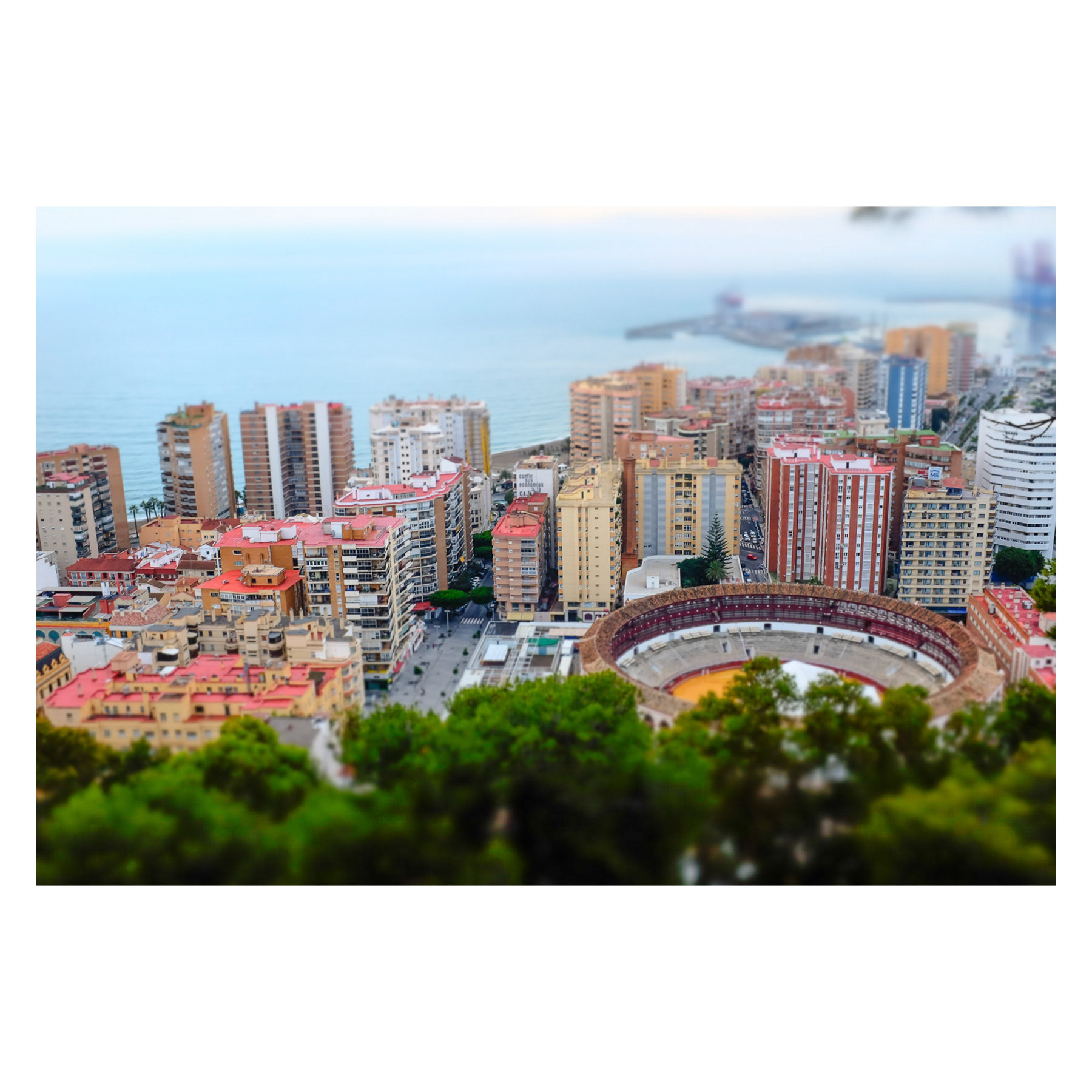 Malaga.