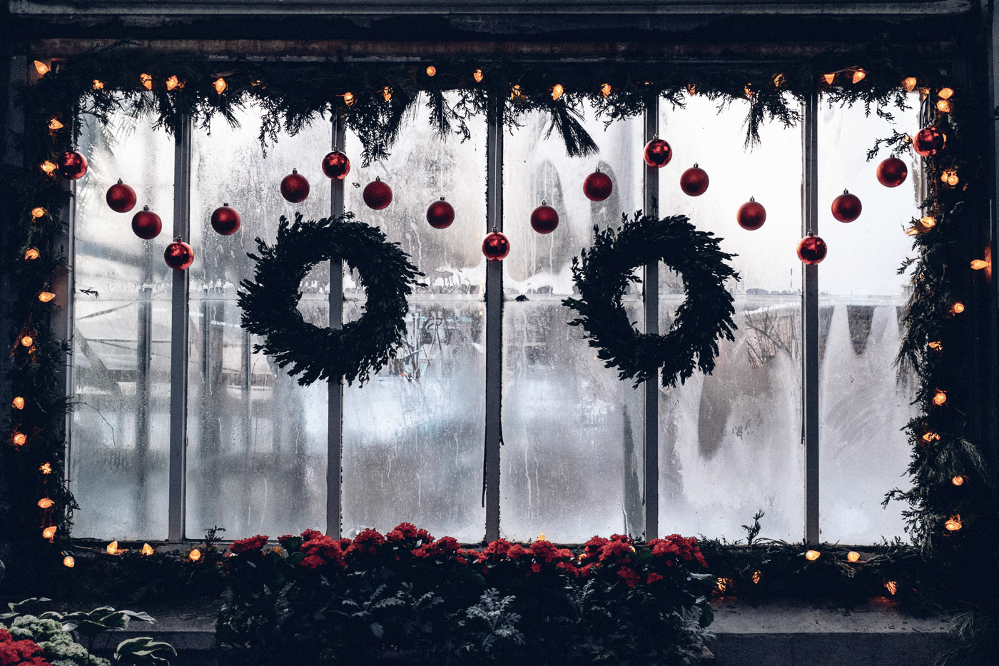 Allan Gardens Toronto