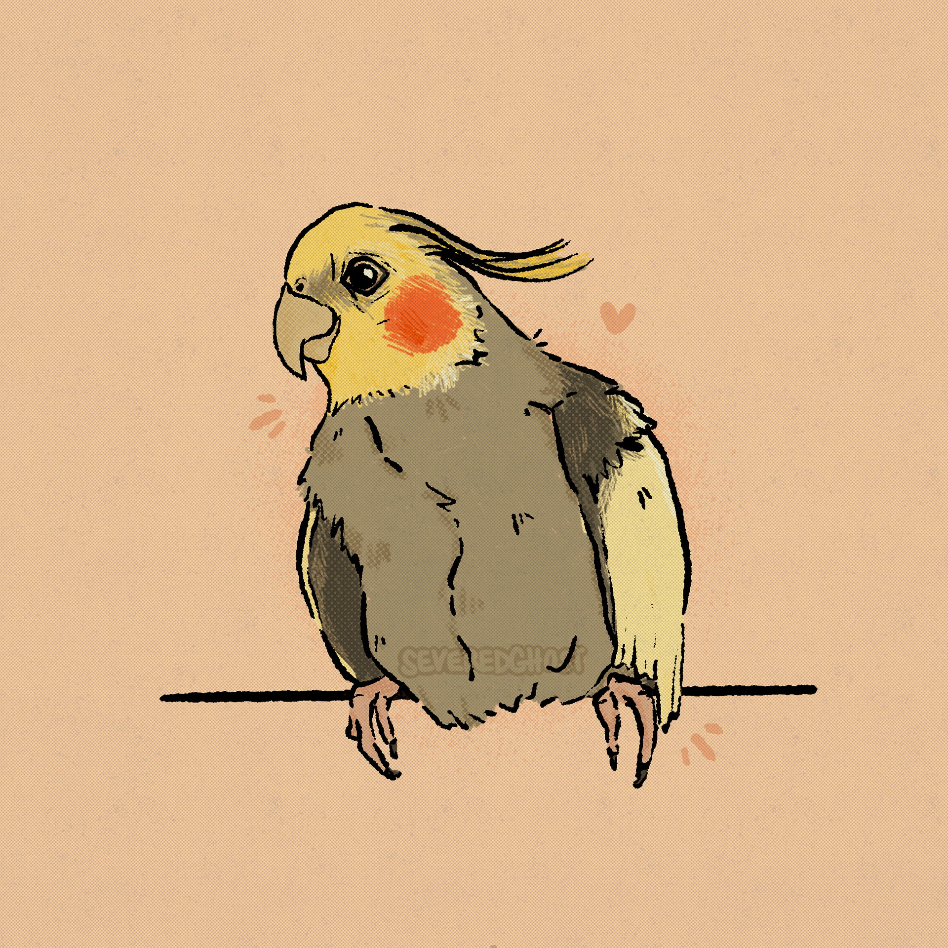 pet parrot doodle