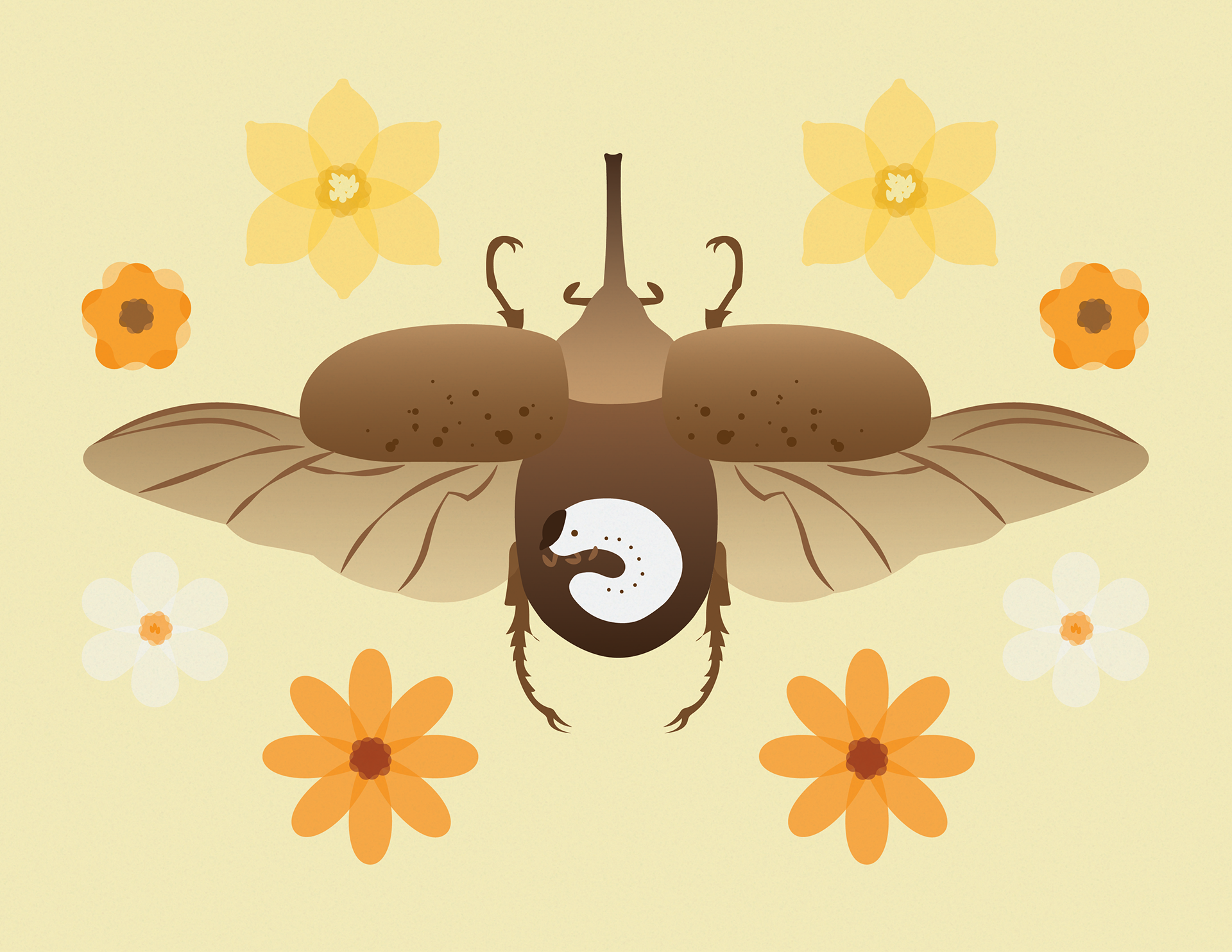 beetle and larva created using Adobe Illustrator