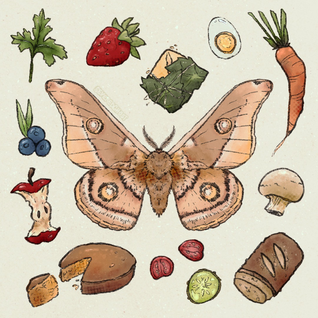 snacks from the Shire