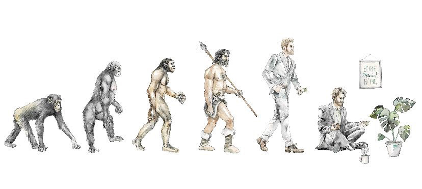 Evolution finding yourself